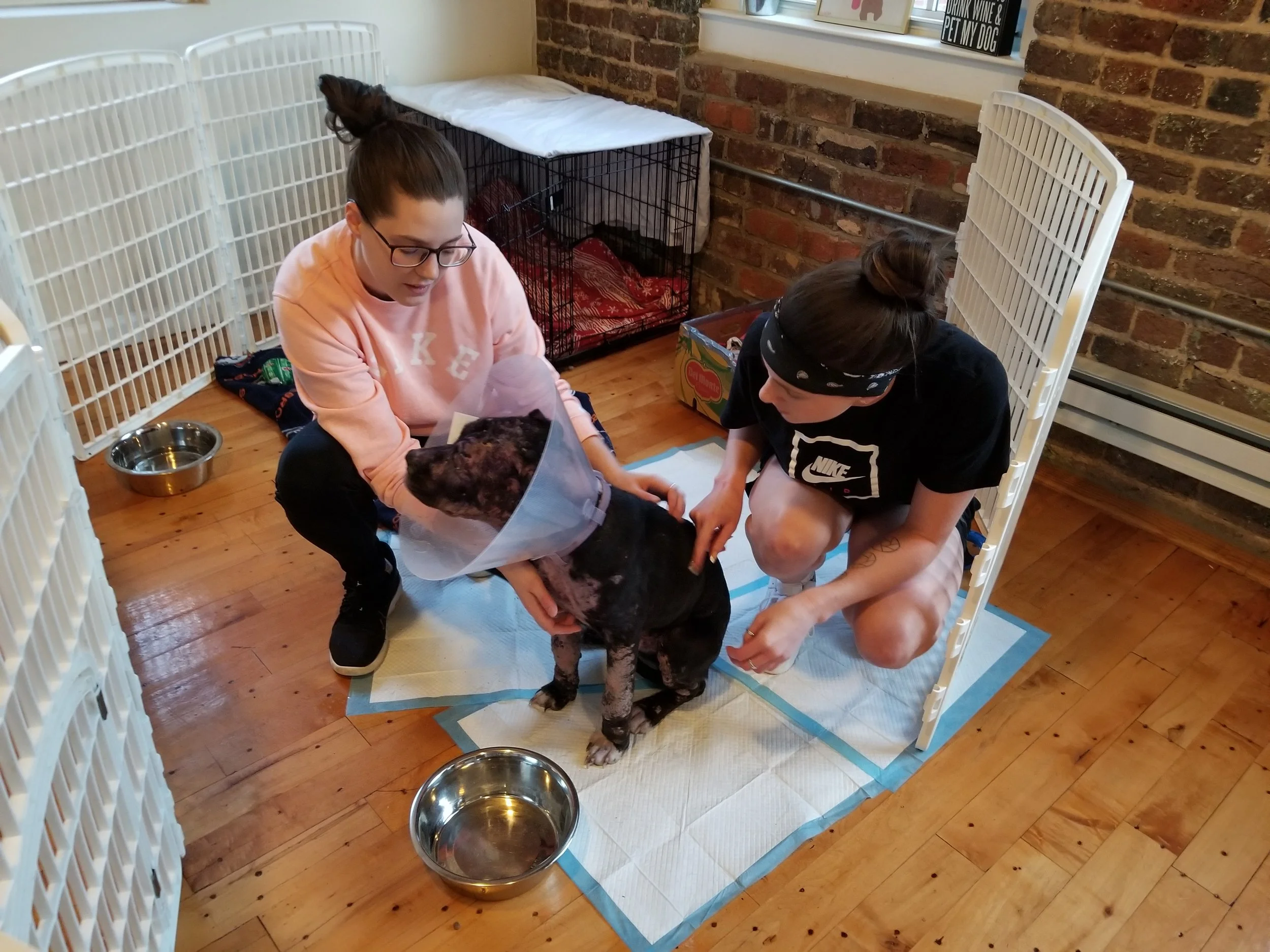 April Foster Spotlight - Colleen Close &amp; Indi Armstrong