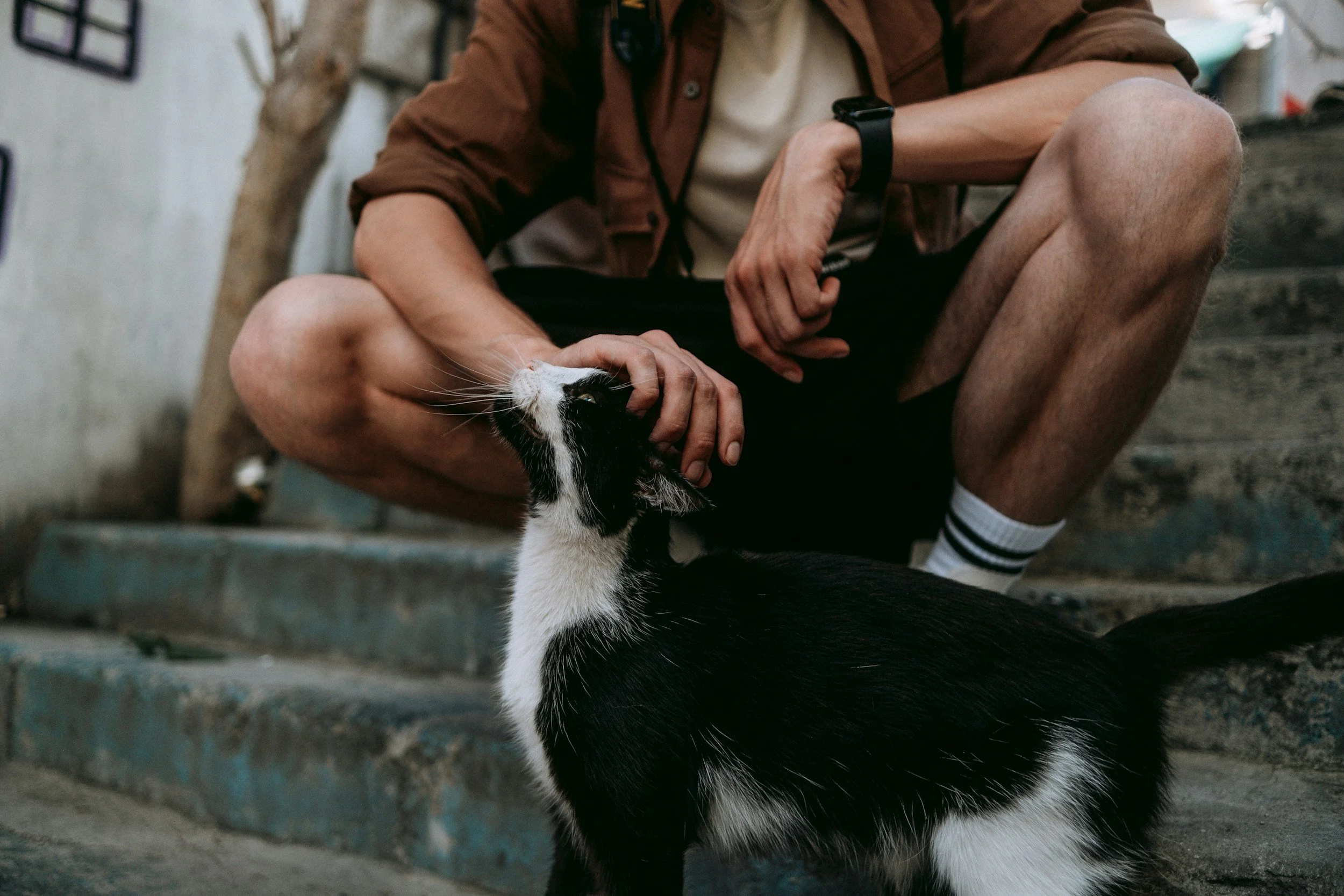 RAL Courtesy Listing Guide