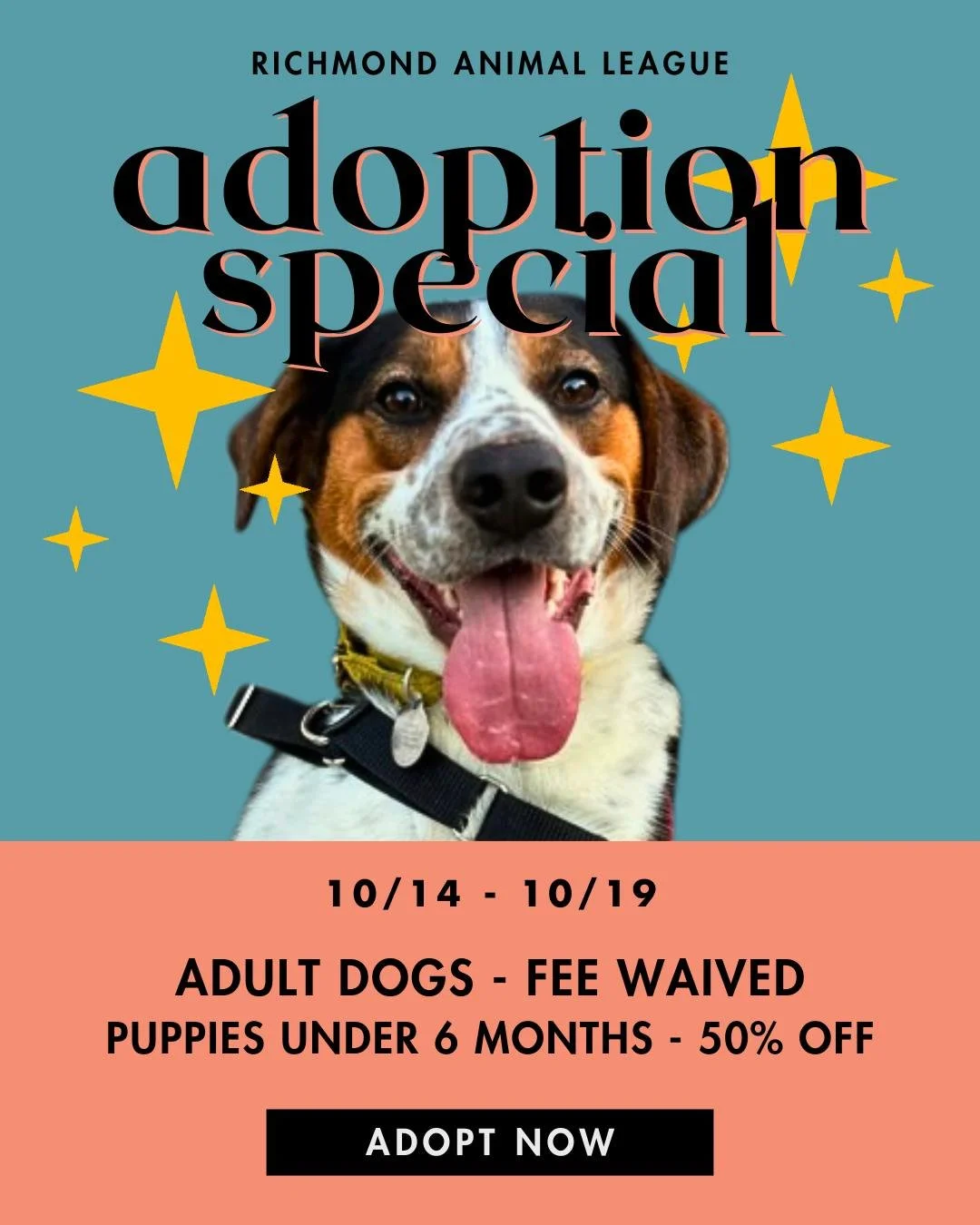 ✨ DOG DEALS ARE HERE ✨
October 14&ndash;19
🎉 Adult dogs &ndash; FEE WAIVED
🐶 Puppies under 6 months &ndash; 50% OFF

Have you been waiting for a sign? This is it.
Whether you're team Big Dog Energy or Puppy Breath Enthusiast, there's a very good do