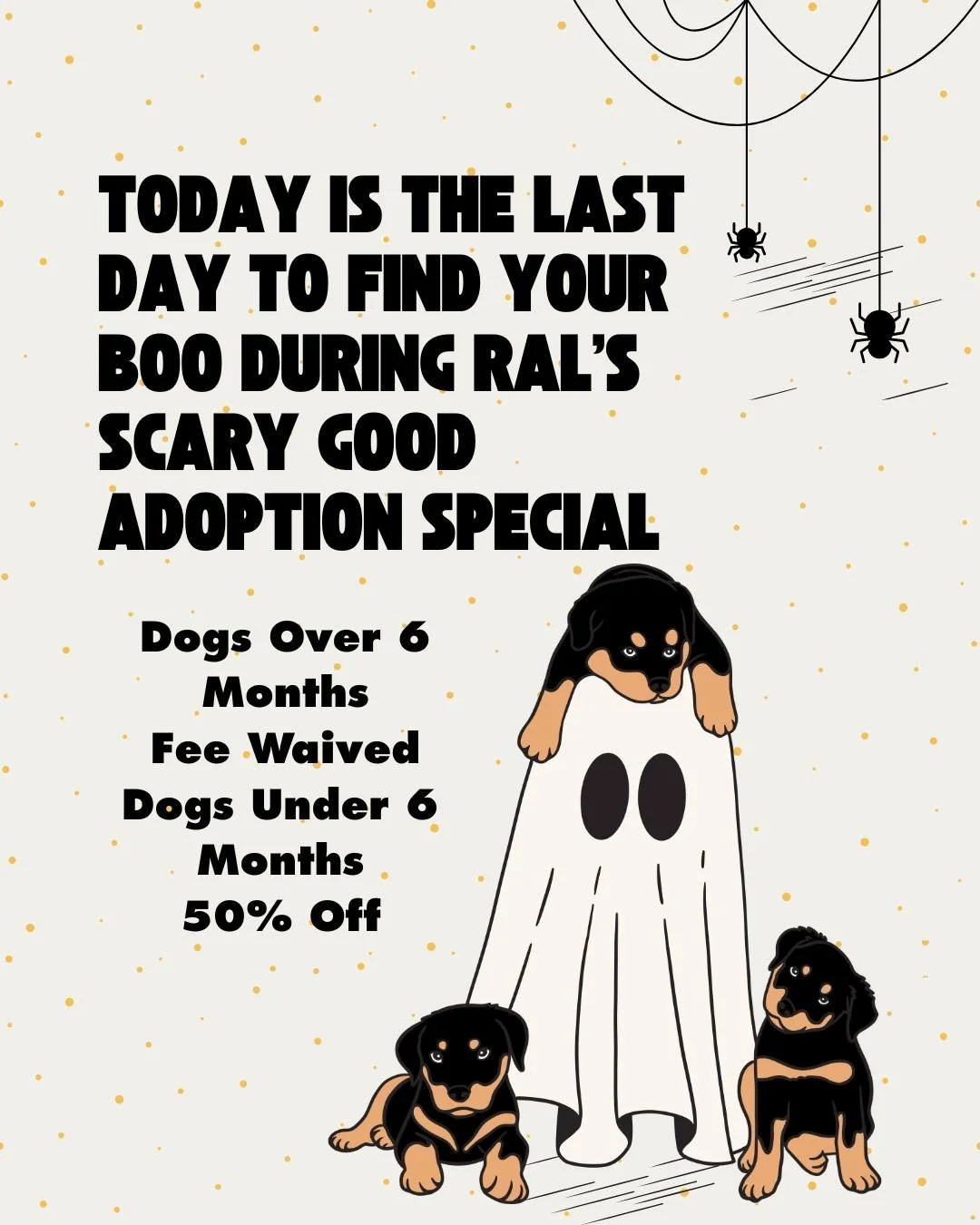 🎃 FINAL DAY! Scary Good Adoption Special Ends Today 🎃

Looking for your doggy boo? 👻 Come visit Richmond Animal League today (Saturday, Oct. 19) between 12&ndash;4pm and meet your new best friend!

🐶 Dogs 6 months and older: fee waived
🐾 Puppies