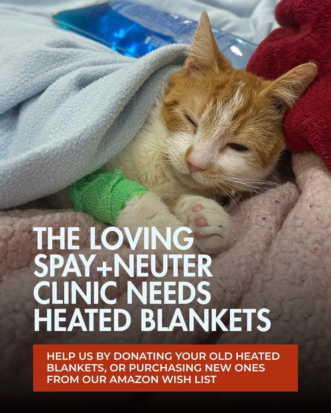 Our clinic team could use a little extra warmth this season. When pets wake up from anesthesia in The Loving Spay+Neuter Clinic, keeping their temperature stable is incredibly important. Heated blankets help us make sure every cat and dog wakes up co