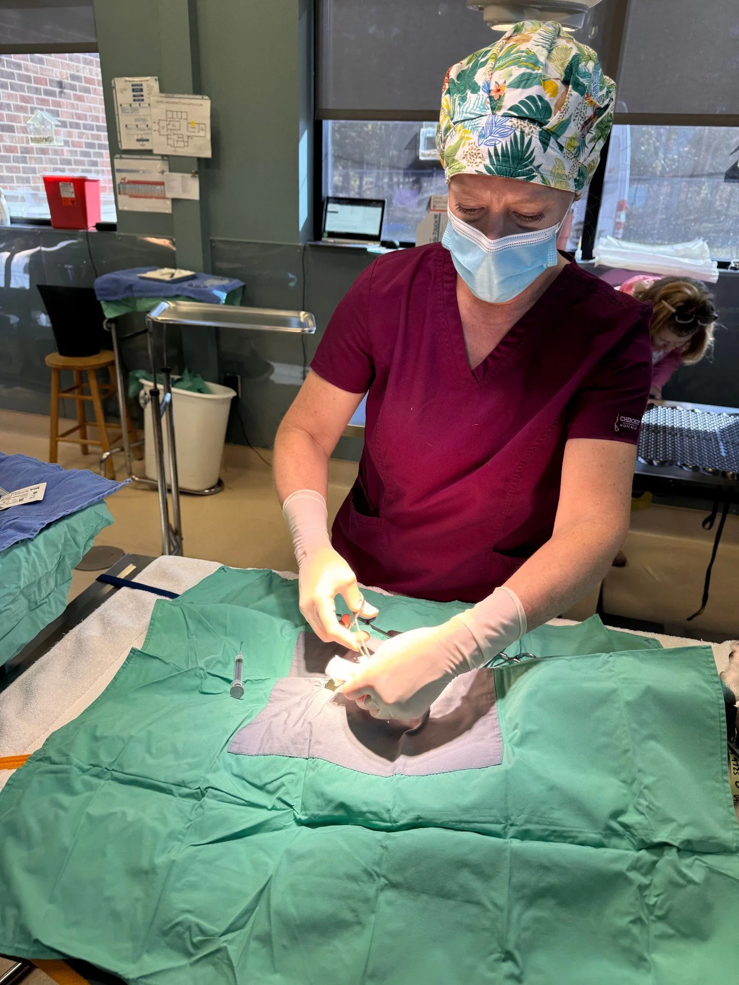 Sixteen years ago, The Loving Spay+Neuter Clinic was nothing more than a trailer sitting on a patch of swampy land. No electricity. No plumbing. No equipment. Just a grant, a vision, and one newly hired veterinarian with the kind of brave, &ldquo;let