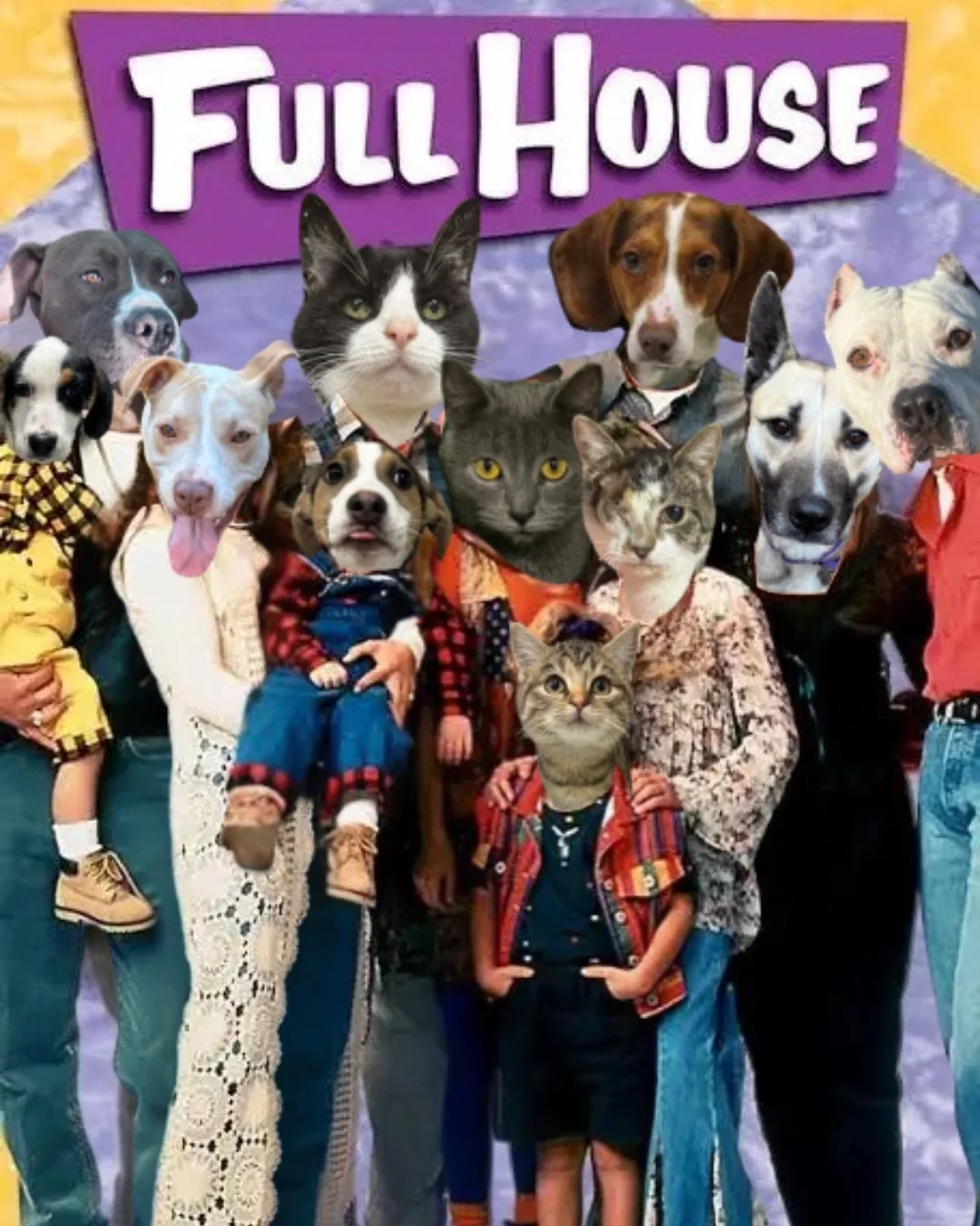 🎶 Full House Friday 🎶

No Danny Tanner voiceover needed.
Our house is full.

Every room is occupied, every couch has a sitter, and this cast of cats and dogs is ready for their breakout role in a loving home. When the shelter fills up like this, th