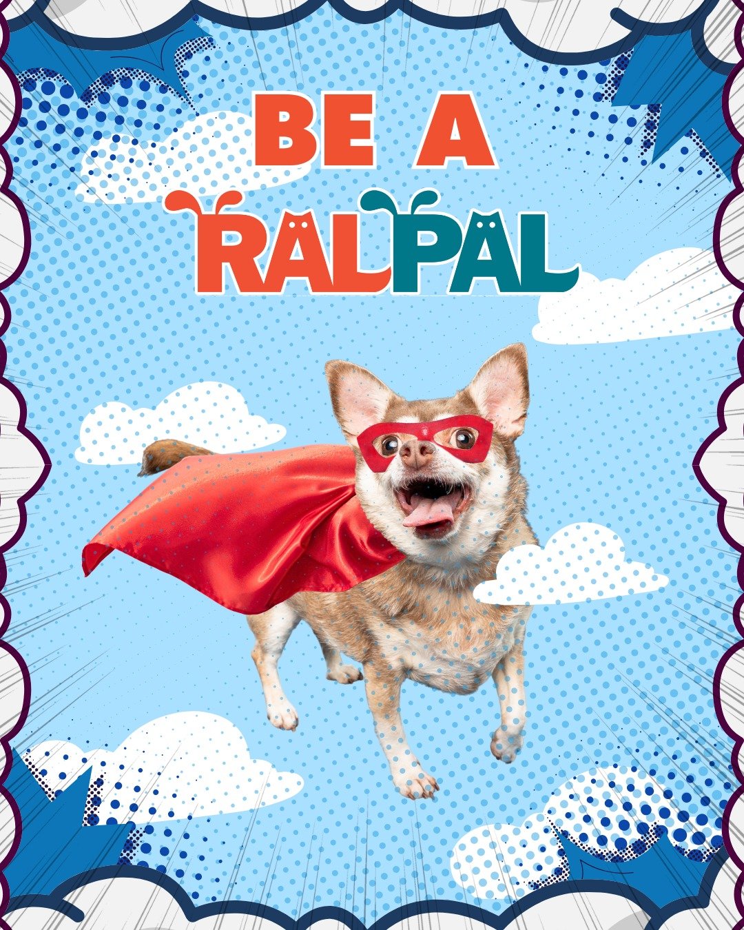 Be a hero for pets like Gabby. 🦸&zwj;♀️🐾
Become a RAL Pal.

RAL Pals are our monthly givers&mdash;the steady, reliable support that makes lifesaving care possible every single day. From medical treatment to cozy beds and the time pets need to find 