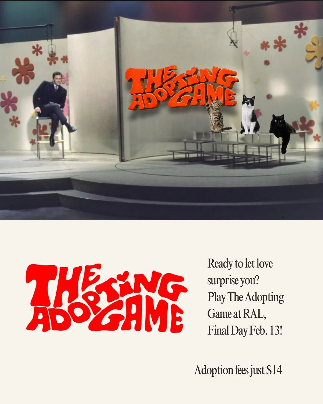 Ok Richmond&hellip; this is it. 💌🐾

Today is the FINAL day of The Adopting Game at RAL.

All week long, we&rsquo;ve been matching adopters with dogs and cats based on personality, not appearances. No first impressions through kennel doors. Just rea