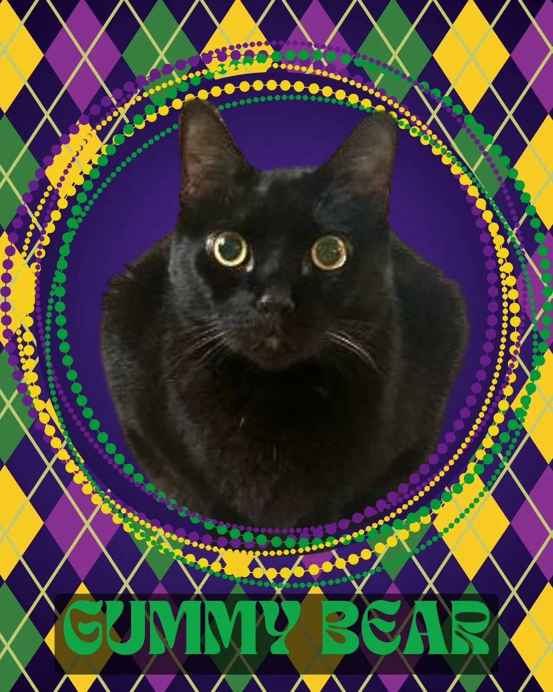 It&rsquo;s not Fat Tuesday&hellip; it&rsquo;s Cat Tuesday. 💜💛💚

We may not have beads flying through the air, but we do have cats tossing toy mice and stealing hearts left and right.

If you&rsquo;ve been waiting for a sign to add a little extra s