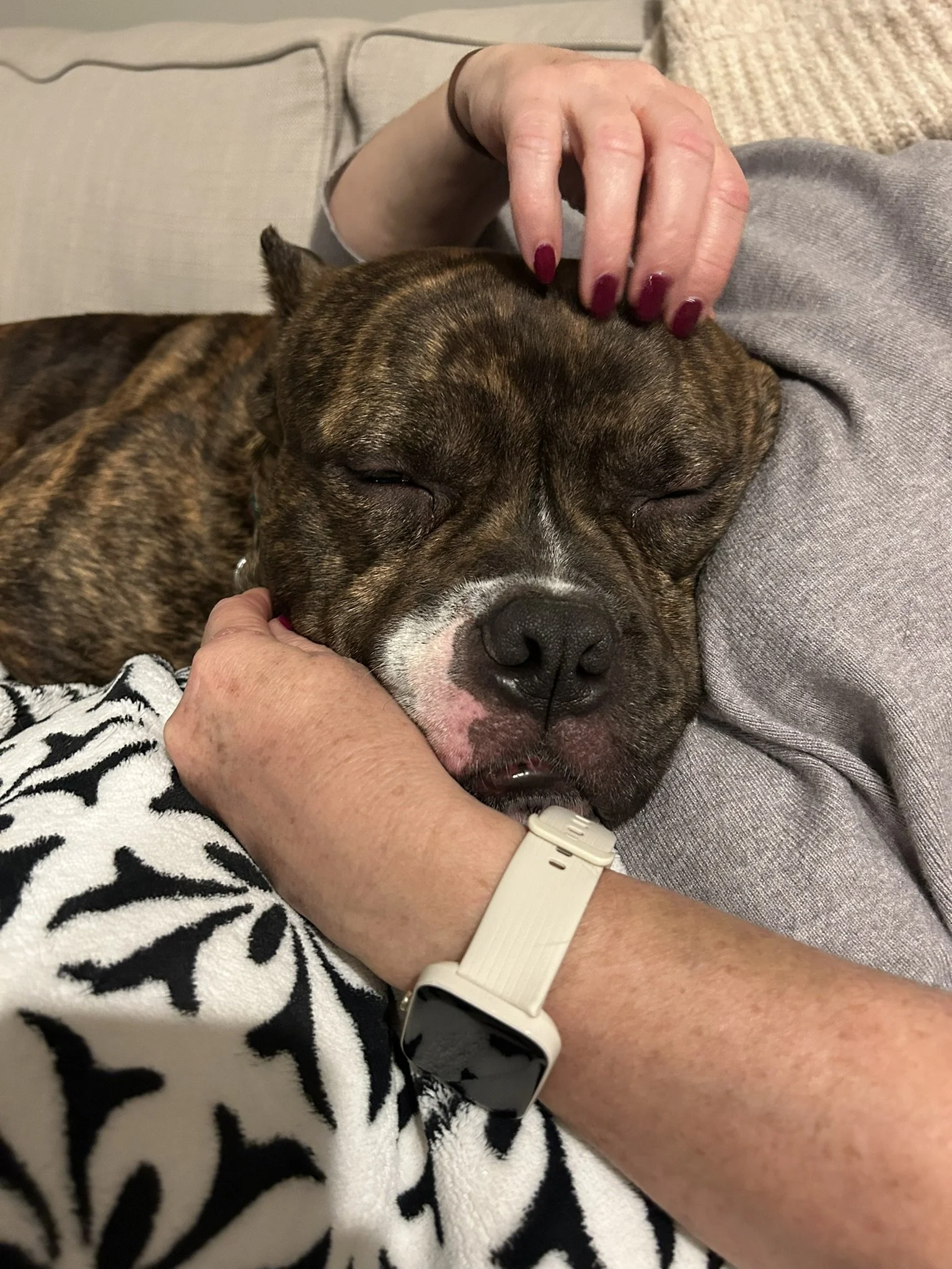 When Love Has Somewhere to Go: The Fergusons’ Foster Journey