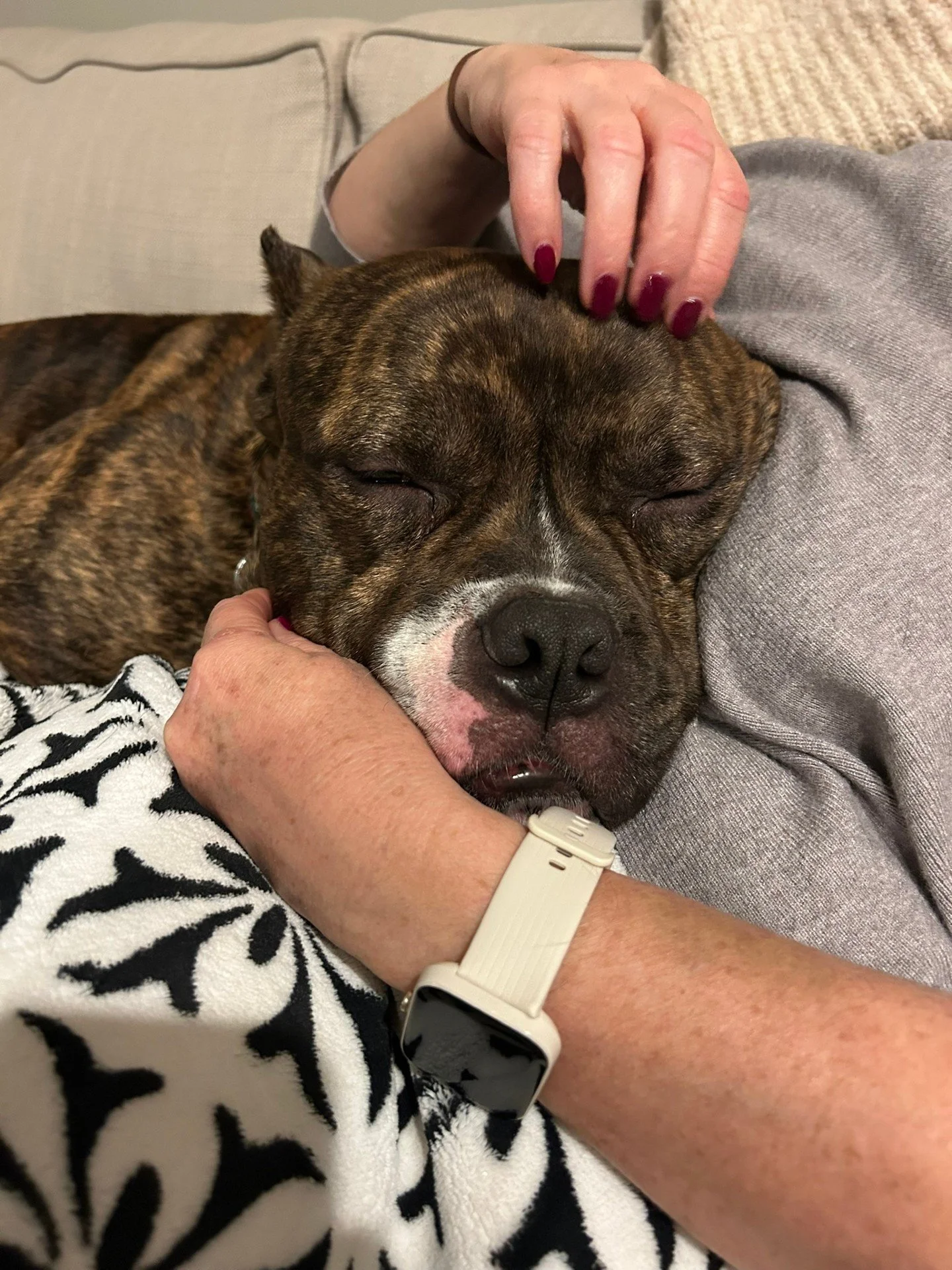 Fostering looks different for everyone. Sometimes it begins in a season of loss and becomes something unexpectedly healing. 🧡

The Fergusons began fostering after losing both of their beloved dogs within two years. Their home felt quiet. Fostering g