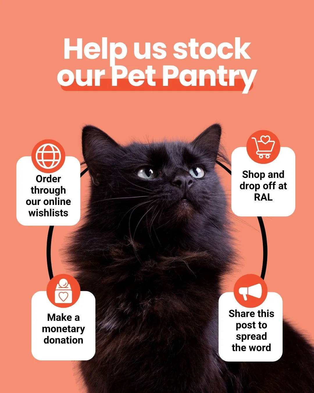 🐱 We need your help, Richmond 🧡

Right now, our RAL Pet Pantry shelves are completely out of dry cat food.

Our Pet Pantry exists for one simple reason: to help families in our community keep the pets they love at home. Sometimes all it takes is a 