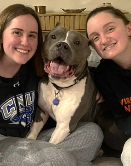 Foster Friday: Tonka 🦛

Some dogs just have that steady, grounding presence.
Tonka is one of them.

This block-headed, velvet-soft king has mastered the art of being exactly where you need him to be. On the couch. In your lap. Riding shotgun in the 