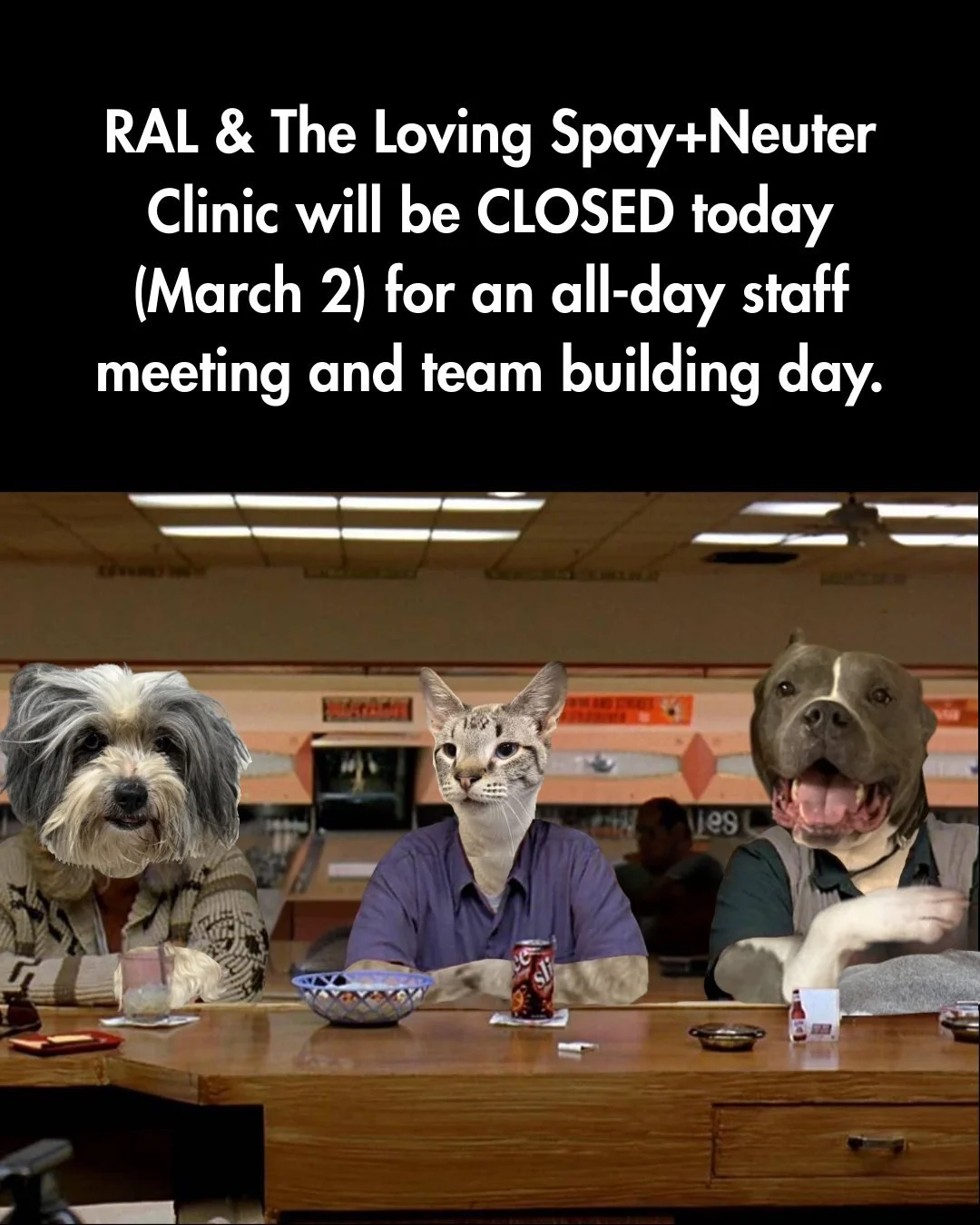 📣 RAL &amp; The Loving Spay+Neuter Clinic are closed today (March 2) for an all-day staff meeting and team building day.

We&rsquo;re taking time to strengthen communication, align our work, and make sure we&rsquo;re showing up in the best possible 