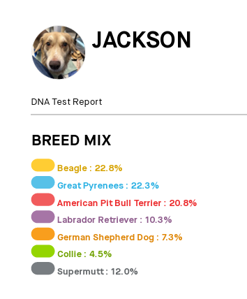 Is it what you were expecting?