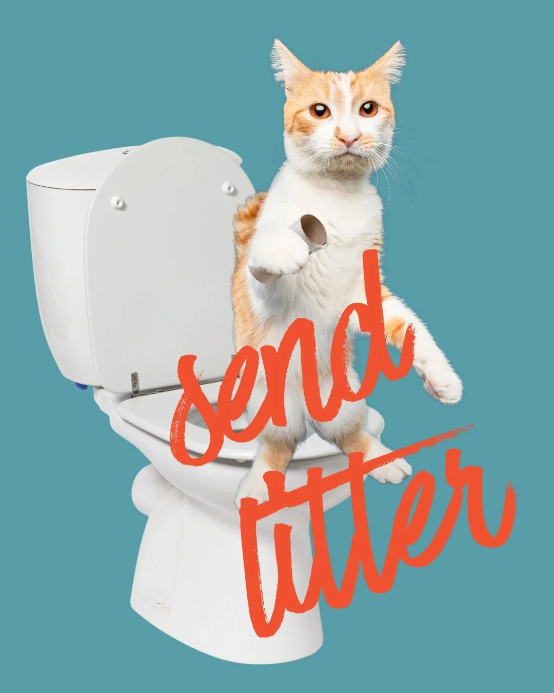 Specifically, non-clumping litter.

We need your help keeping our tiniest (and, let&rsquo;s be honest&hellip; not always the brightest) kittens safe 🐱

When kittens are little, they explore the world with their mouths&hellip; including their litter.