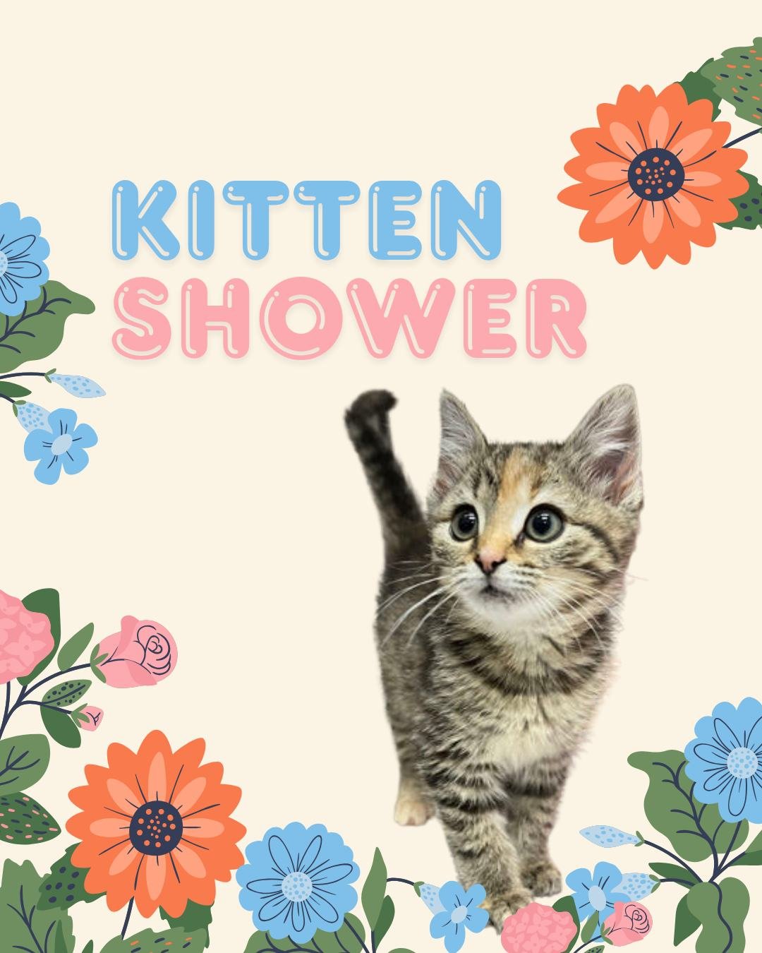 Are you ready for the cutest event of the year? That's right, RAL's Kitten Shower is coming up this Saturday.

What is a Kitten Shower you might ask. Well, it's exactly what it sounds like...a baby shower, but for kittens!

Every year shelters like o