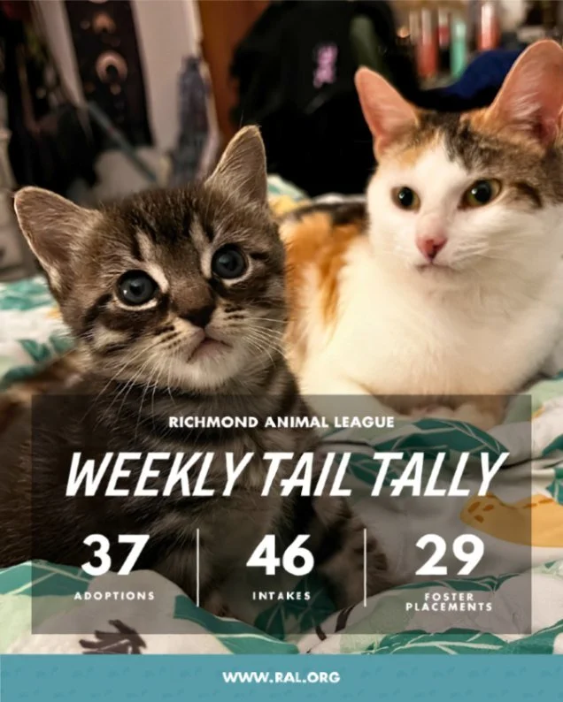 It&rsquo;s Weekly Tail Tally Time!
Here&rsquo;s a look at last week at RAL:

🏠 37 pets found loving homes
&bull; 20 cats
&bull; 17 dogs

🐾 46 new pets welcomed at RAL
&bull; 27 cats
&bull; 19 dogs

🏘️ 29 foster placements
&bull; 21 cat
&bull; 7 do