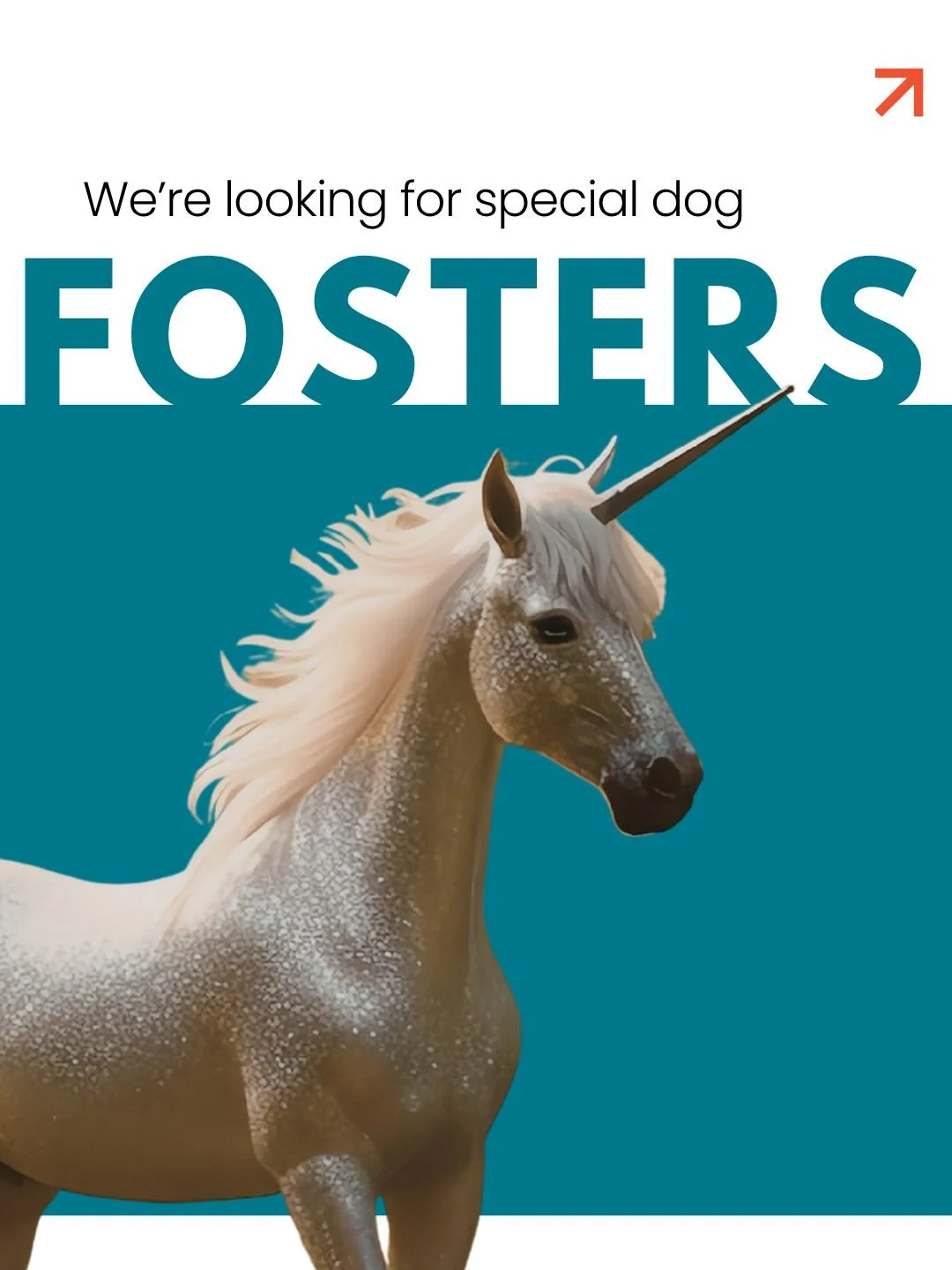 We are looking for some special fosters for some of our medical dogs, dogs needing to get out of the shelter due to stress, and those special unicorn fosters who don't have kids, dogs, or other pets so they can take dogs needing that type of environm