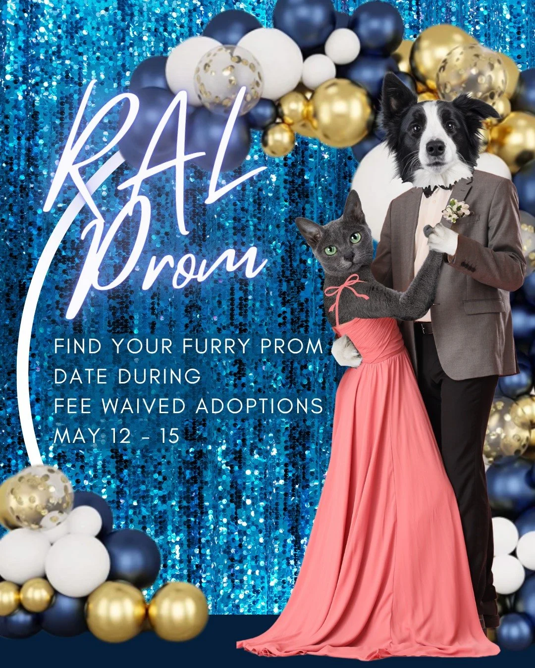 Are you looking for a special someone?
A furry companion that perfectly compliments you?

Well stop by RAL this week for our Prom adoption promo. Find your perfect prom date while we waive adoption fees Tuesday - Friday.

And the big finale, Friday f