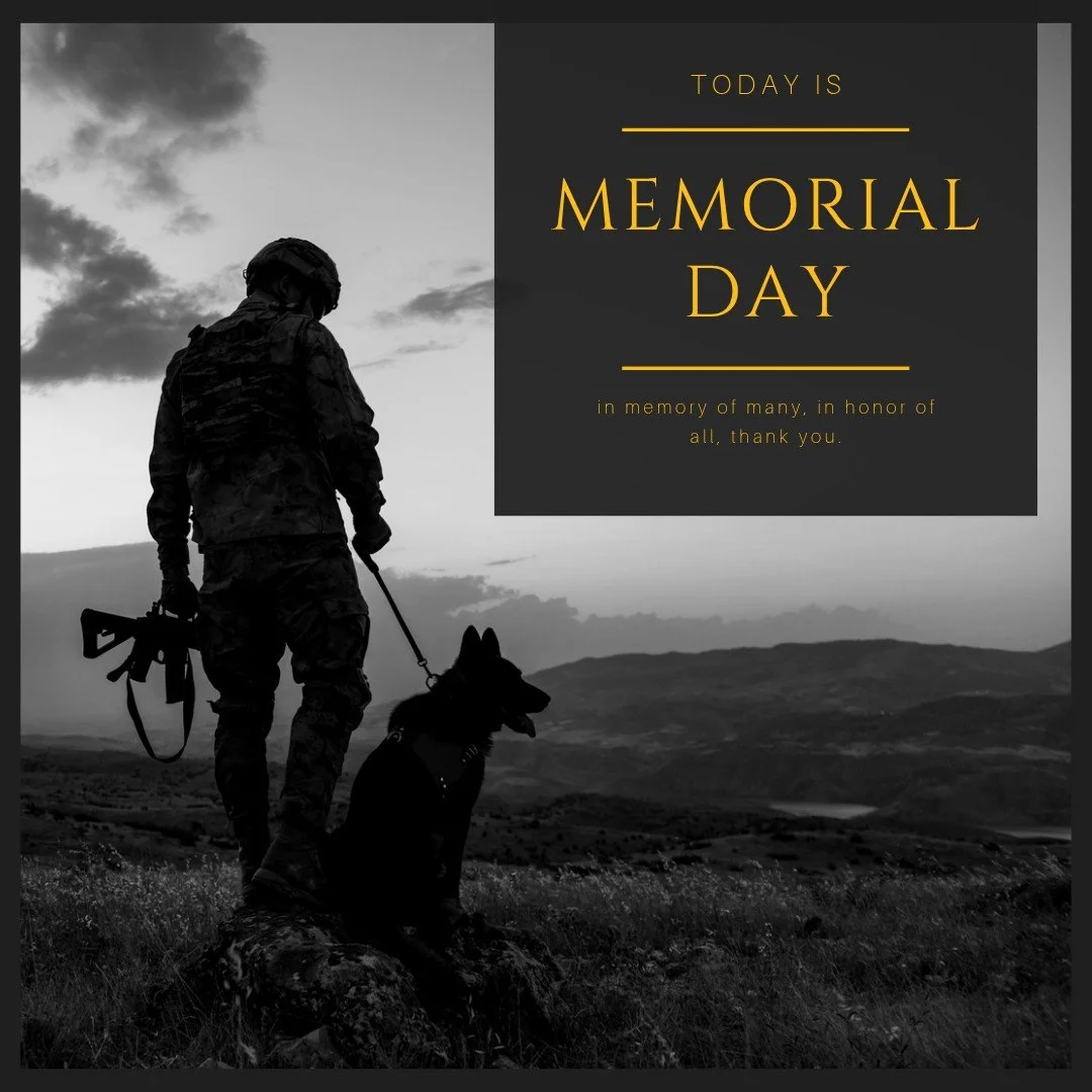 This Memorial Day, we pause to remember and honor the brave individuals who gave their lives in service to our country. Both the RAL Shelter and the Loving Spay+Neuter Clinic will be closed today in observance of the holiday. 

We'll resume our regul
