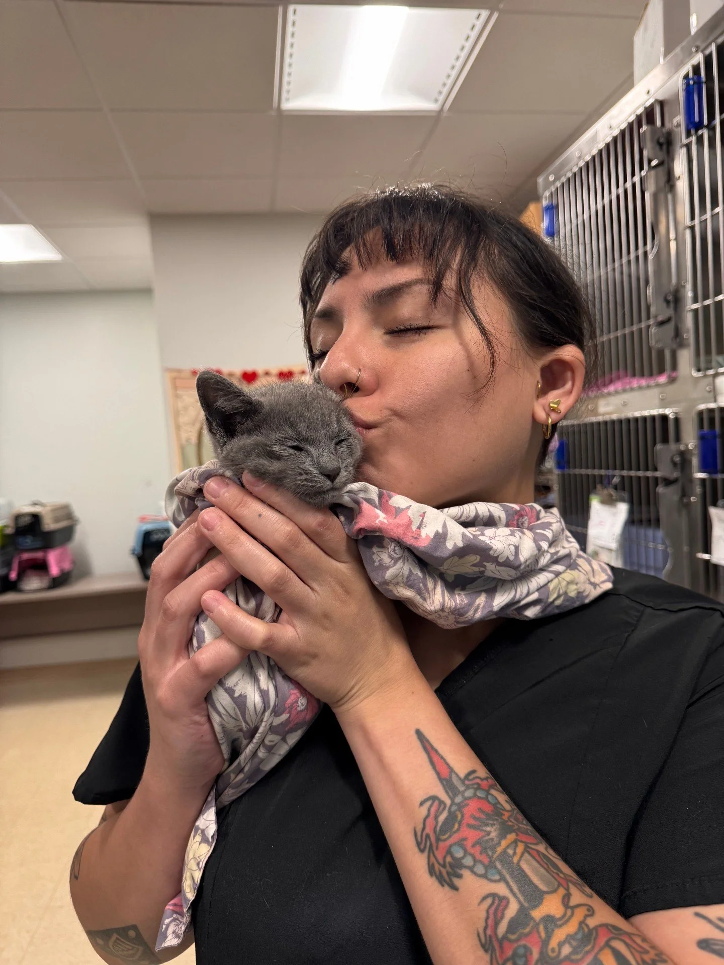 42 cats through the clinic today. 38 of them were kittens, just 2 to 3 months old. That's Kitten Season.

Our Loving Spay+Neuter Clinic team shows up every single day for moments like this one, making sure these tiny ones are healthy and ready to fin