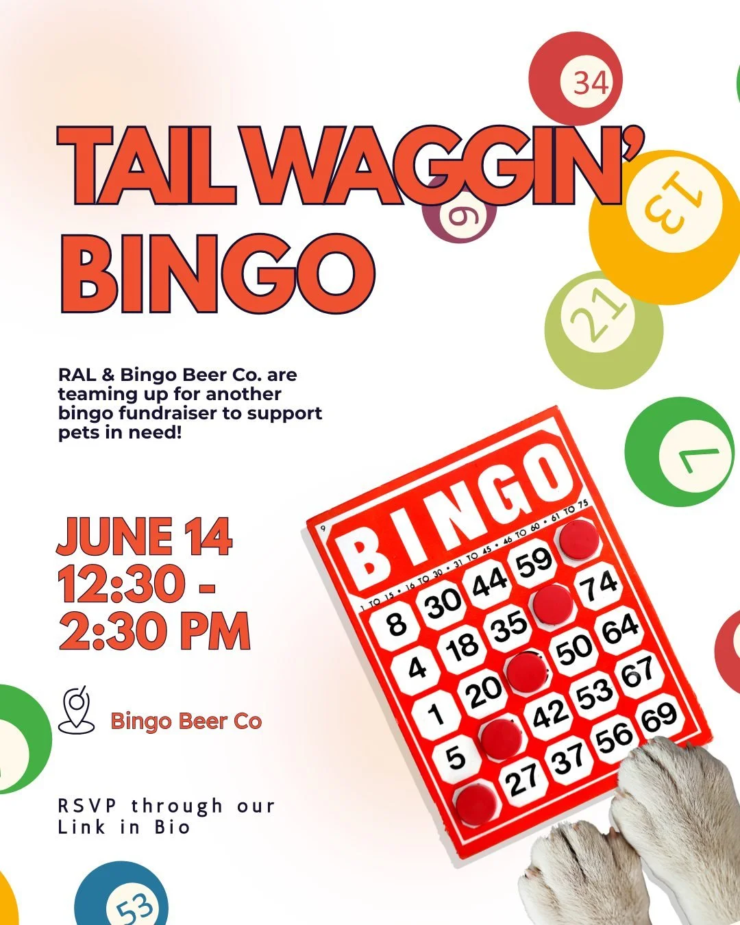 RAL &amp; @bingobeerco are teaming up for another bingo fundraiser to support pets in need!

For a donation of any amount, you and your friends can sign up for bingo on Sunday, June 14 from 12:30 - 2:30 PM!
Enjoy some friendly competition all while s