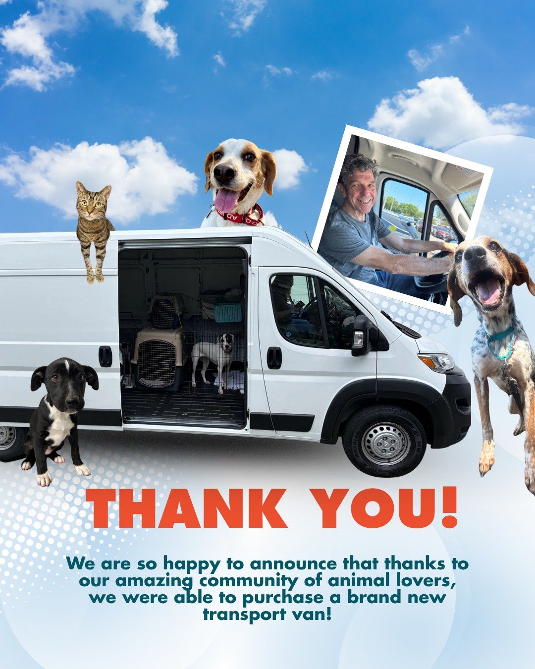 You did it. 🚐❤️

Because of YOUR generosity, Richmond Animal League now has a brand new transport van and it is already on the road, bringing animals one step closer to loving homes.

Our community showed up in the most incredible way, and we are so