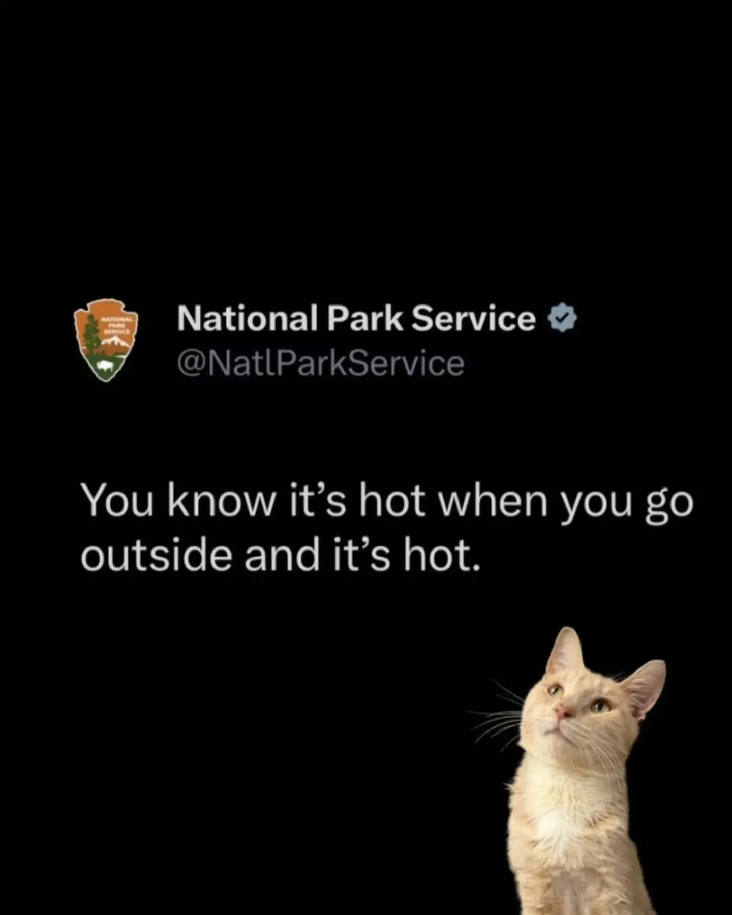 We know @nationalparkservice likes to joke around, but temperatures are heating up this week and we want to make sure our furry friends are safe and comfortable. 

Cloudy recently went on a Crate Escape and we see him illustrating some of the ways yo
