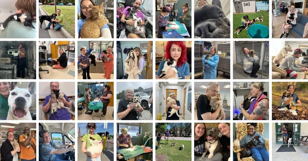Record breaking year 🎉 and we mean that in the best way.

FY2026 wrapped on June 30th, and here's what our community made possible:

🐶 2,288 adoptions, our highest ever
🏠 2,419 intakes, also our highest ever
✂️ 8,296 spay/neuter surgeries at our L
