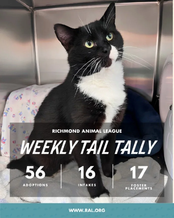 It&rsquo;s Weekly Tail Tally Time!
Here&rsquo;s a peek at last week's numbers:

🏠 56 adoptions to loving homes
&bull; 31 cats
&bull; 25 dogs

🐾 16 new pets welcomed at RAL
&bull; 6 cats
&bull; 10 dogs

🏘️ 17 foster placements
&bull; 11 cat
&bull; 