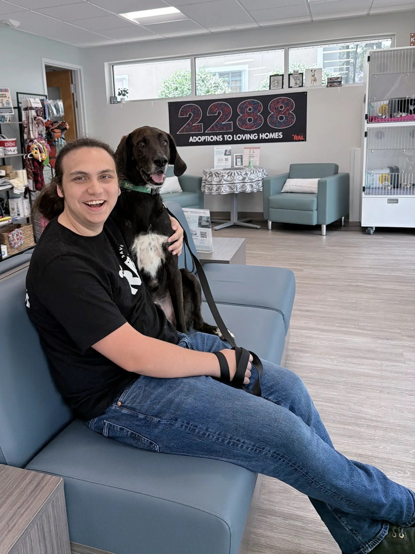 Looking for a cute guy to cuddle on the couch? Meet Amir 🐾 (he's the dog, this is a shelter, not a dating app)

We've posted about Amir before and we're still baffled he's here. Handsome, well behaved, house trained, and he knows "sit" and