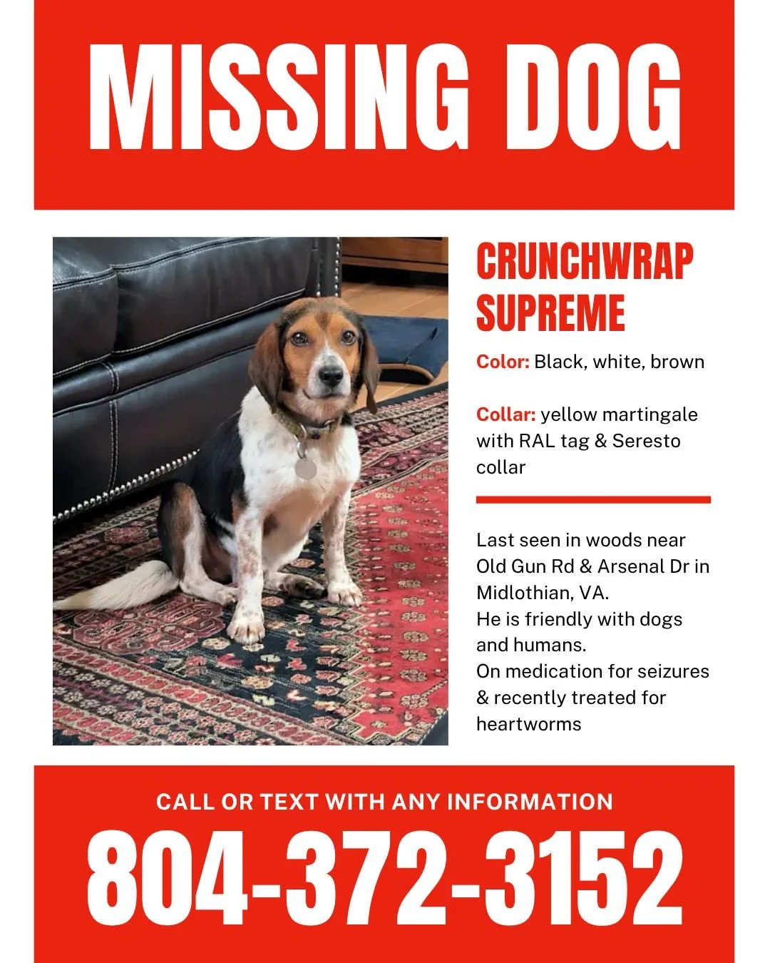 Crunchwrap Supreme, an RAL foster dog, is missing from his foster home in Midlothian. He was last seen about an hour ago near Old Gun Rd &amp; Arsenal Dr.

Tricolor (white, brown, black), about 20 lbs, wearing a yellow martingale collar with a RAL ta