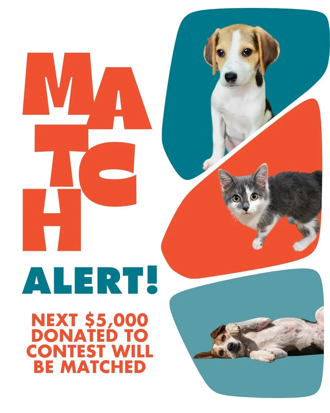 📢 Match Alert! 📢

Starting right now, the next $5,000 in RAL&rsquo;s 2026 Calendar Contest will be matched dollar for dollar!

That means your $1 = 1 vote now counts DOUBLE for the furry contestants you are supporting.

Just a reminder of what our 