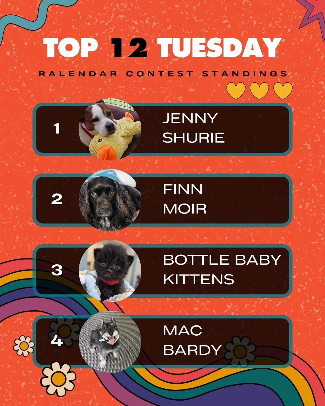 It's Top 12 Tuesday!

We had some shakeups in the Top 12 between last Tuesday and today. That match we had last week really propelled some pets and helped others to maintain Top 12 status.

Bottle Baby Kittens entered the chat and they have been hold