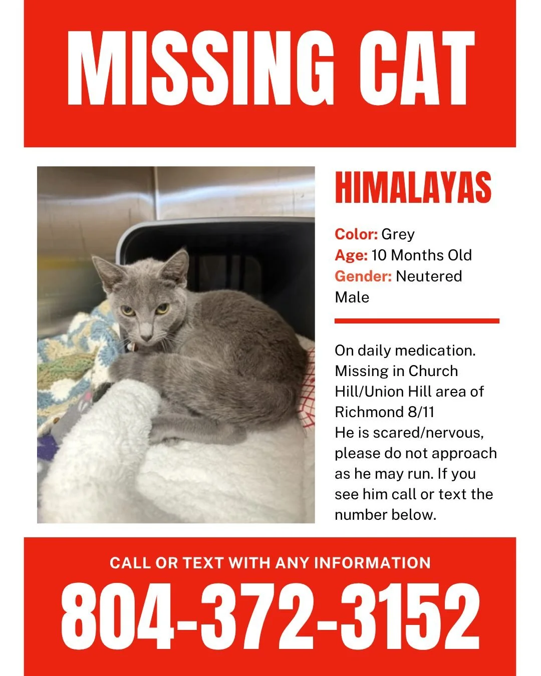 📢 MISSING FOSTER CAT: Himalayas 📢

Himalayas went missing from his foster home yesterday evening in the Church Hill / Union Hill area of Richmond. He's a small grey kitten who is shy around people he doesn't know, so he may be hiding rather than ap