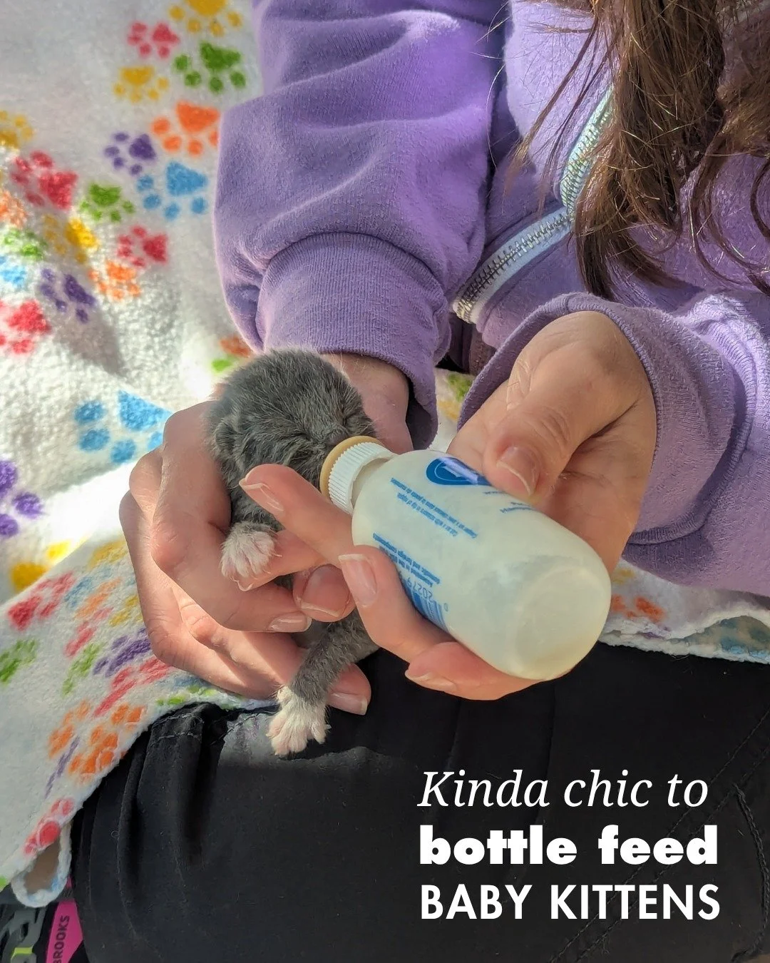It's kinda chic to spend your day surrounded by animals. RAL can help you live that reality through working here, volunteering, fostering, or adopting.

#richmondanimalleague #kindachic #animalwelfare #animalshelter