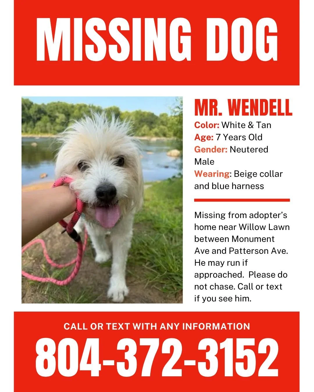 📢 MISSING DOG: MR. WENDELL 📢

Mr. Wendell went missing from his adoptive home near the Willow Lawn area of Richmond between Monument Ave &amp; Patterson Ave. He's a small white &amp; tan dog around 25 lbs. He is wearing a beige collar and blue harn