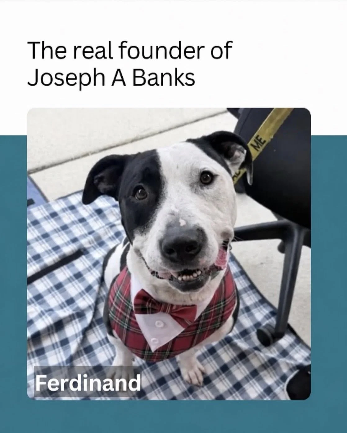 ❌ - No Lies Detected

We have some truly unique and fascinating pets at RAL. Today we want to highlight some of our cats and dogs in foster care to let you know some of the most amazing facts that our fosters have uncovered about these pets.

Visit r