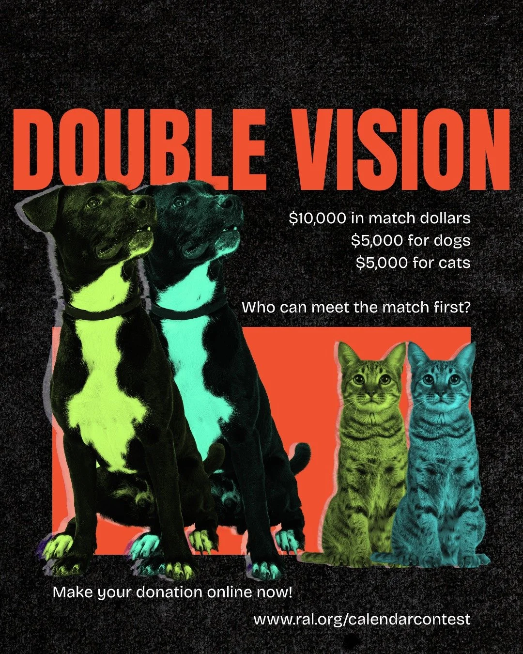 Today's match filled our eyes with double vision.

That's right, we've got not one match, but two happening at the same time!

So we decided to make it a contest. Let's see who can meet the match first, cats or dogs?

We have $5,000 in match for cats