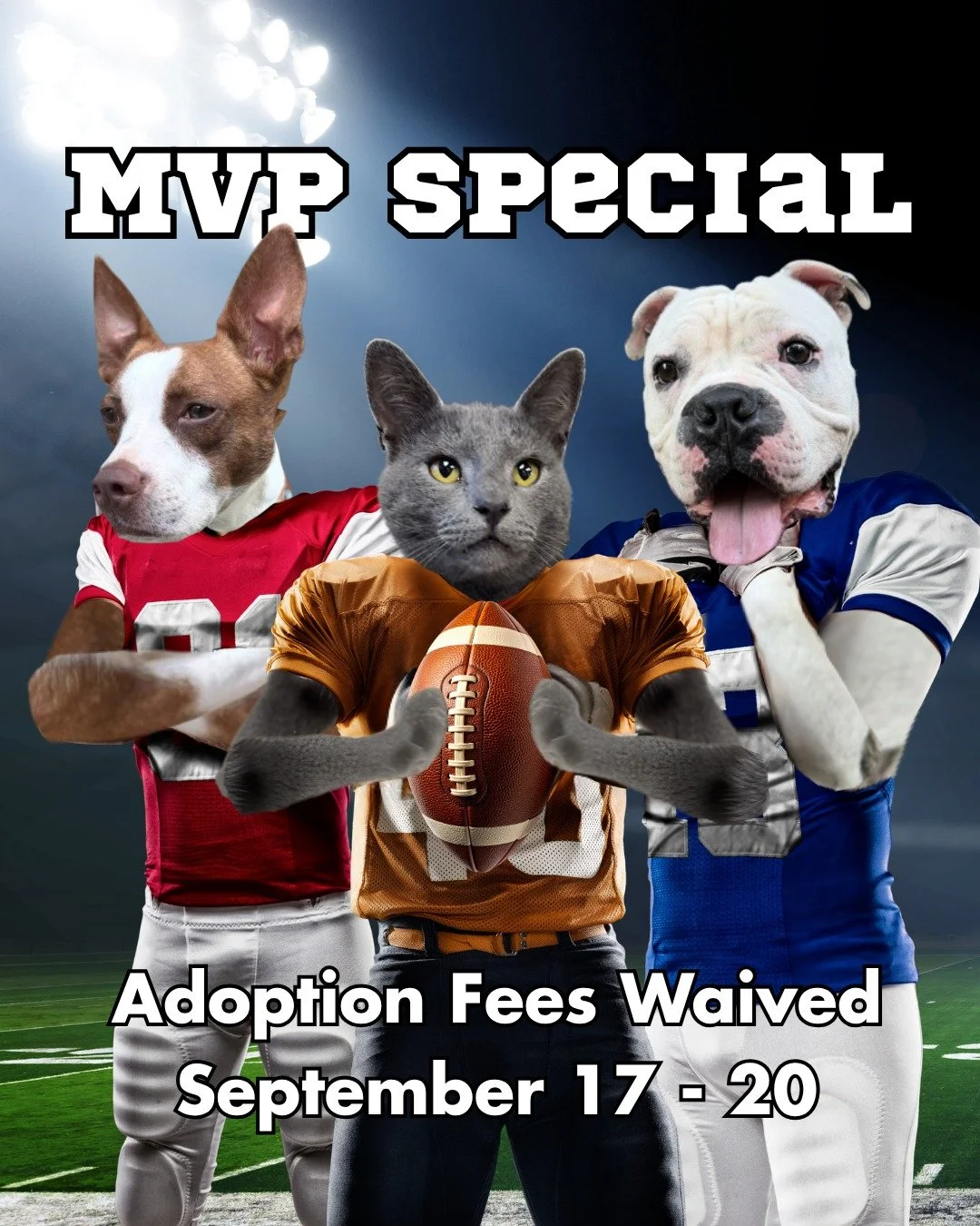 Fees waived. Draft picks available all weekend. September 17-20, every pet at RAL is a free agent looking for their forever team. 🏈🐾

We're clearing the bench to make room to help our animal control partners, so come see who's ready to join your sq