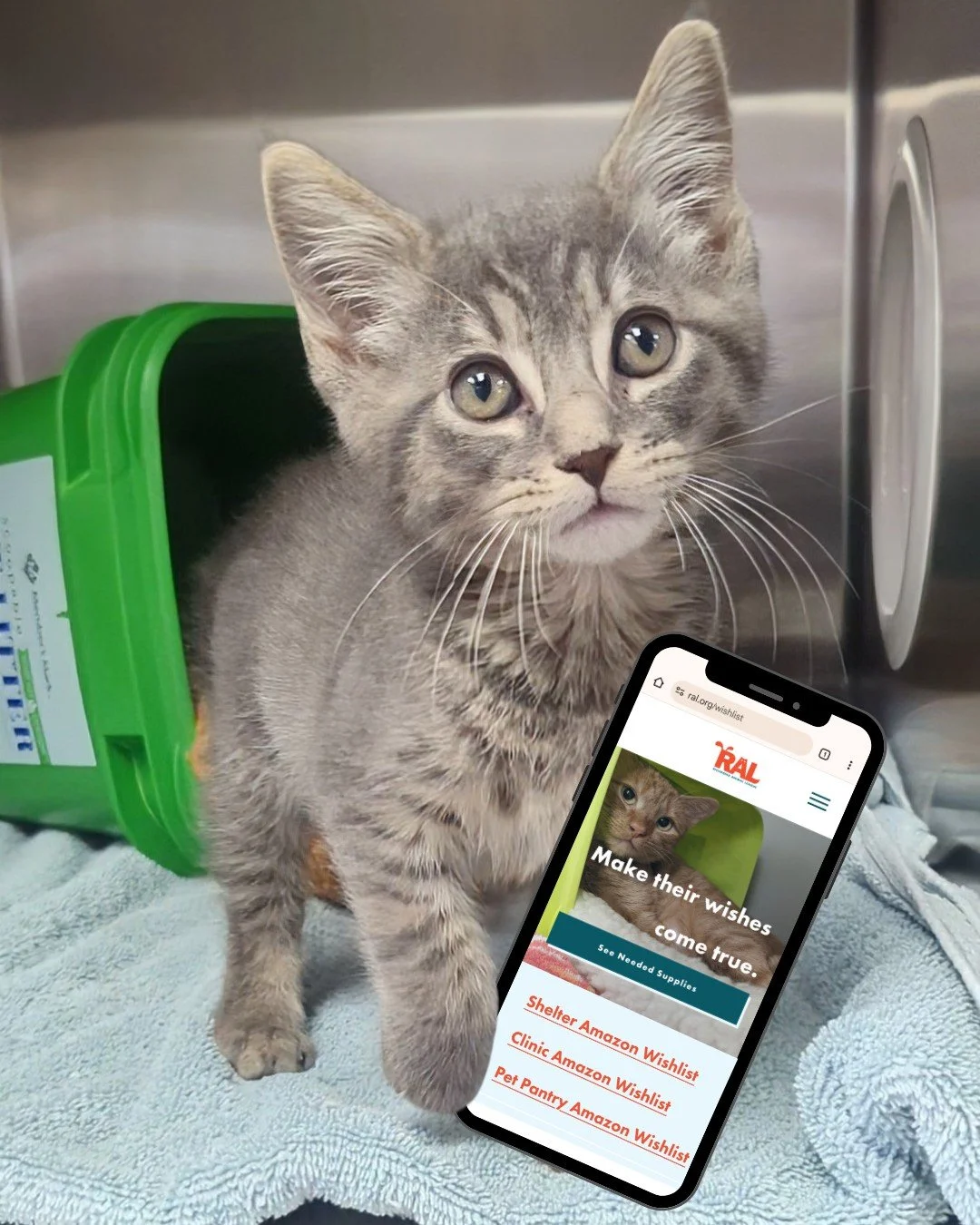 Amazon Prime Big Deal Days start tomorrow, so why not shop with a purpose?

If you're already on your phone (we know you are), put those thumbs to good use. Add a few things to your cart for the pets at RAL! Our kitties &amp; doggos might not have th
