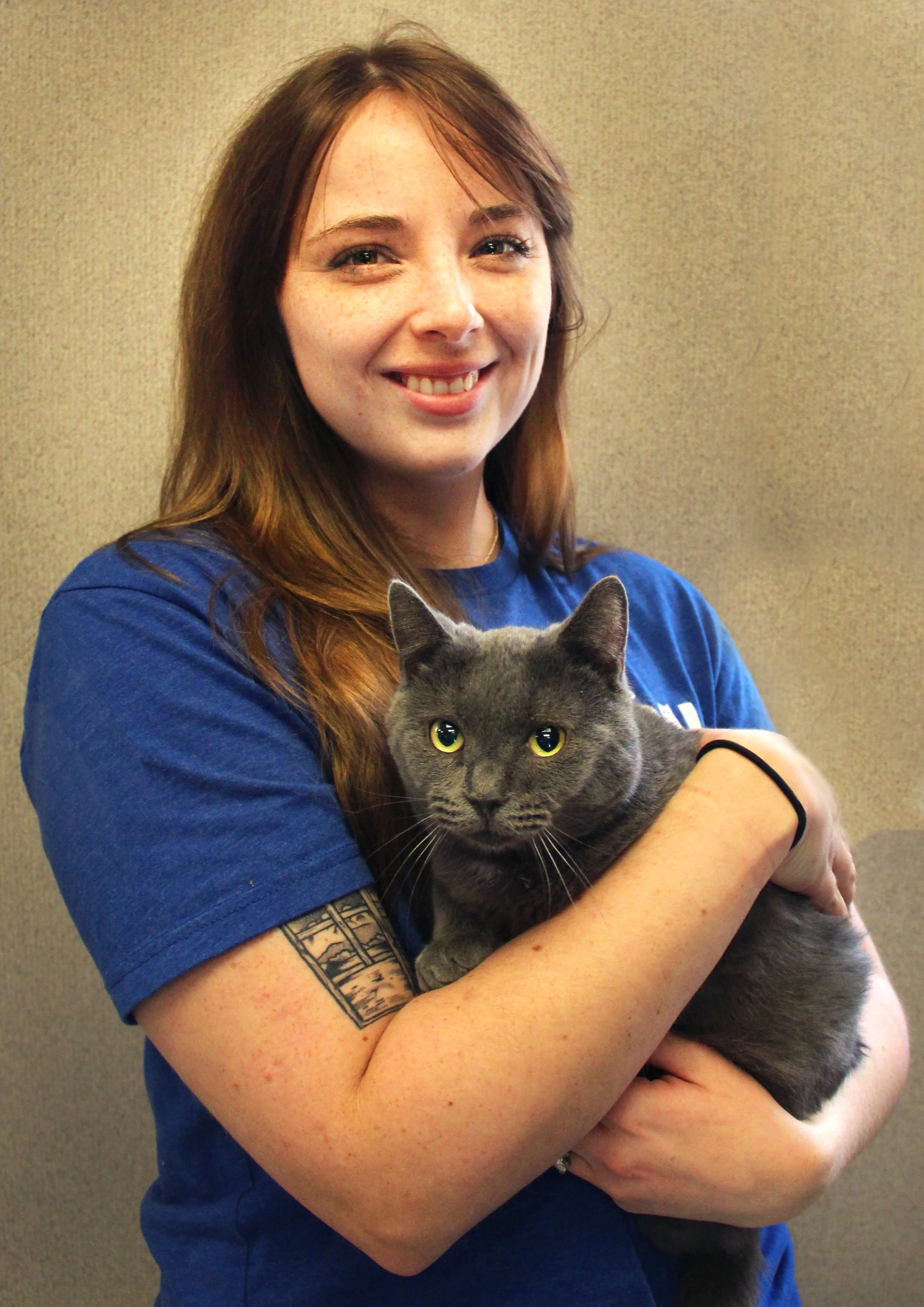 About Richmond Animal League | Animal Shelter in Richmond — Richmond ...