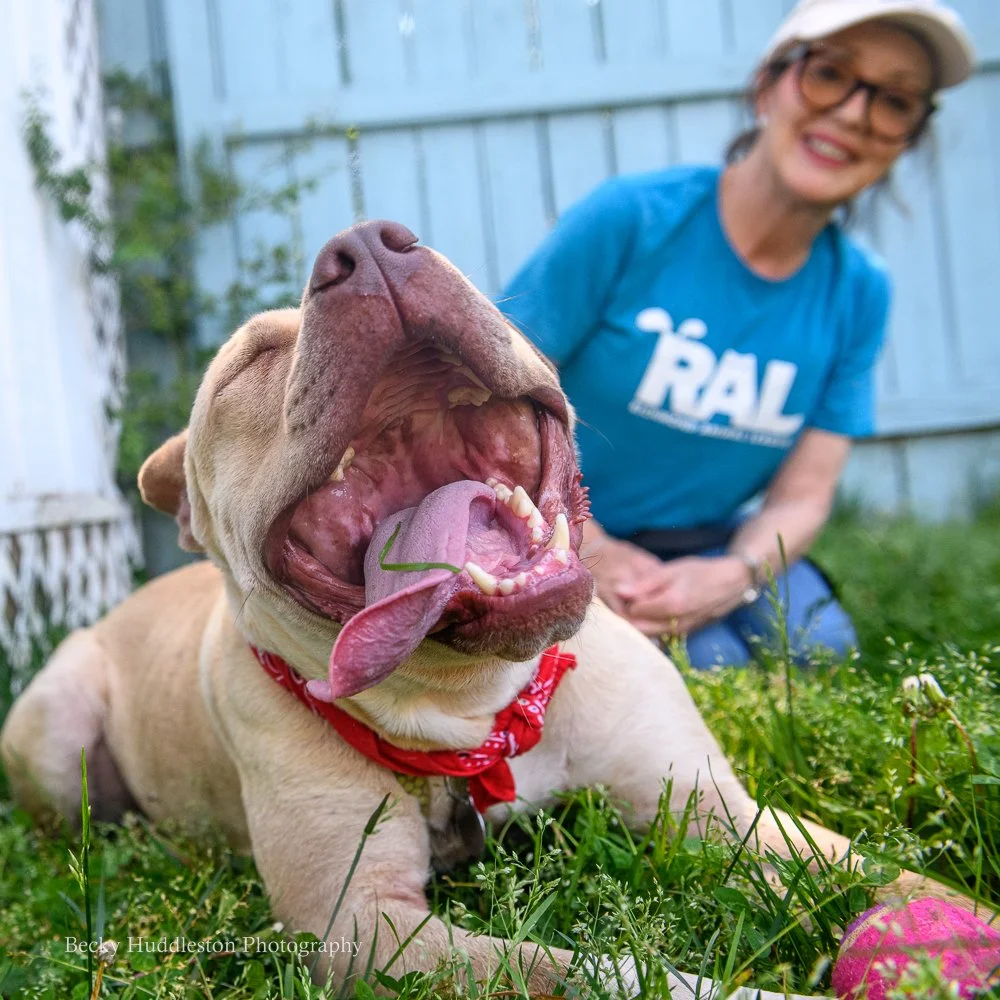 Richmond Animal League