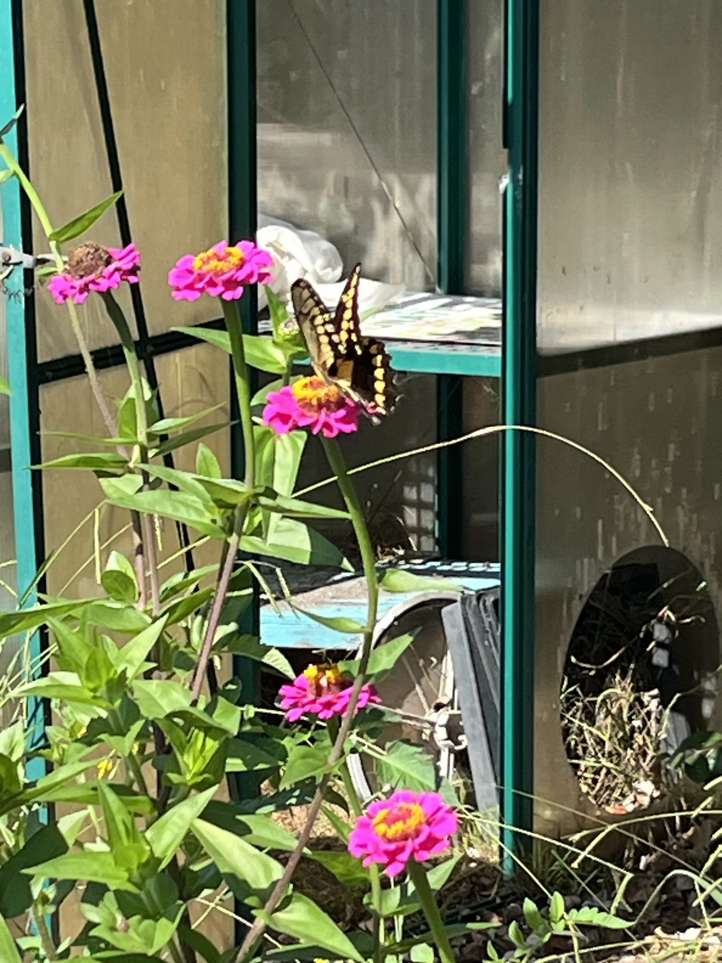 IMG_1330.jpeg