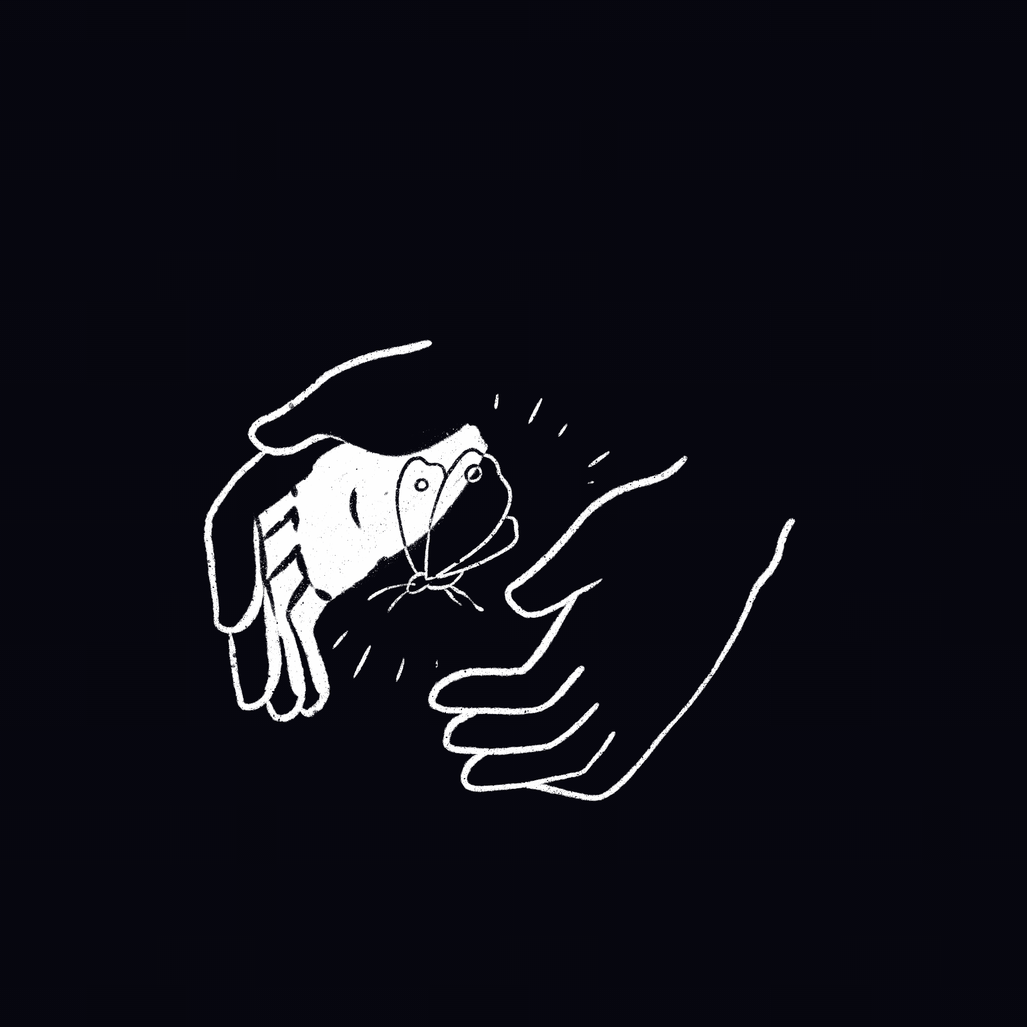 Moth — Rhe Civitello