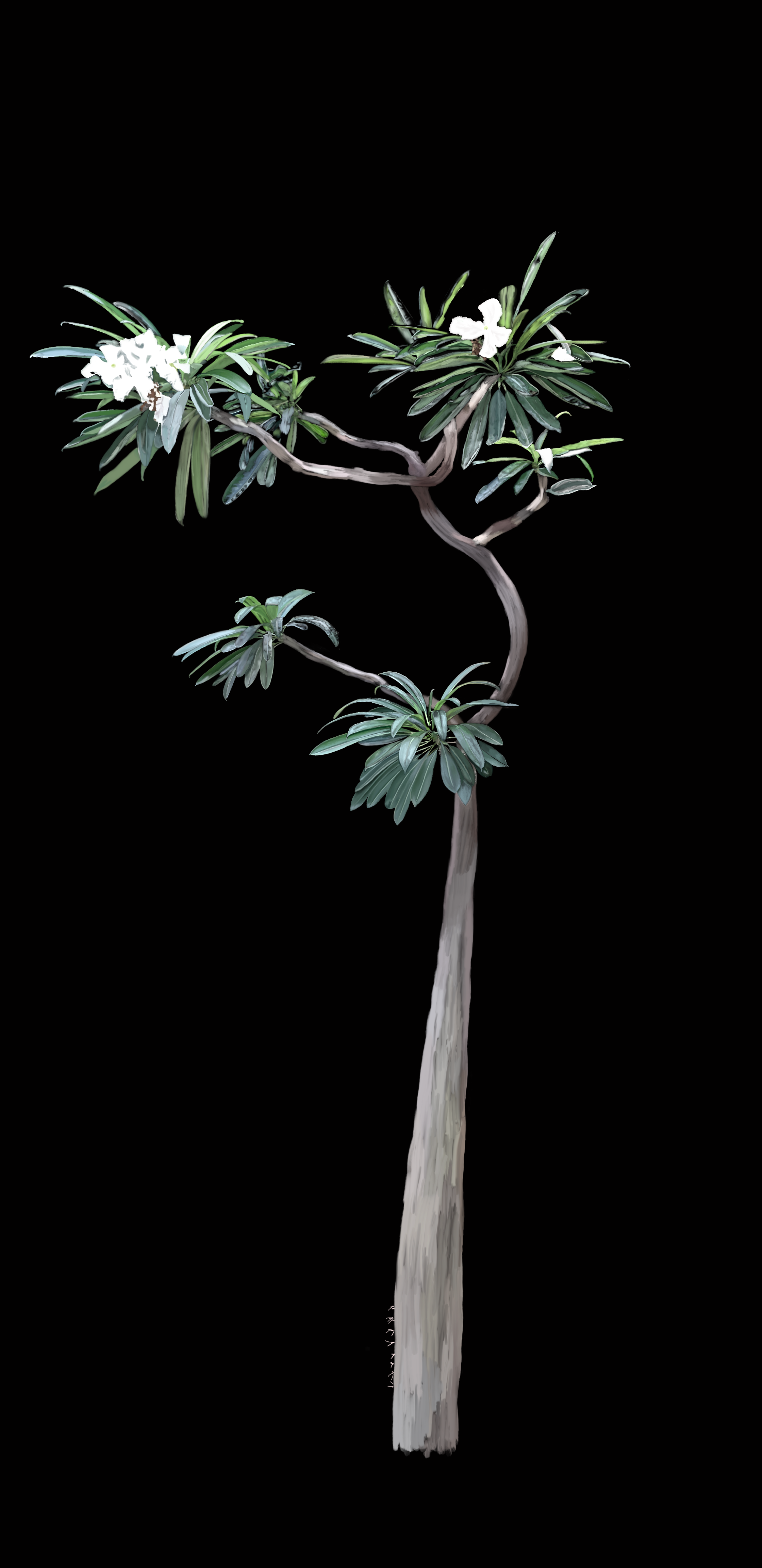 IMG_4698.png