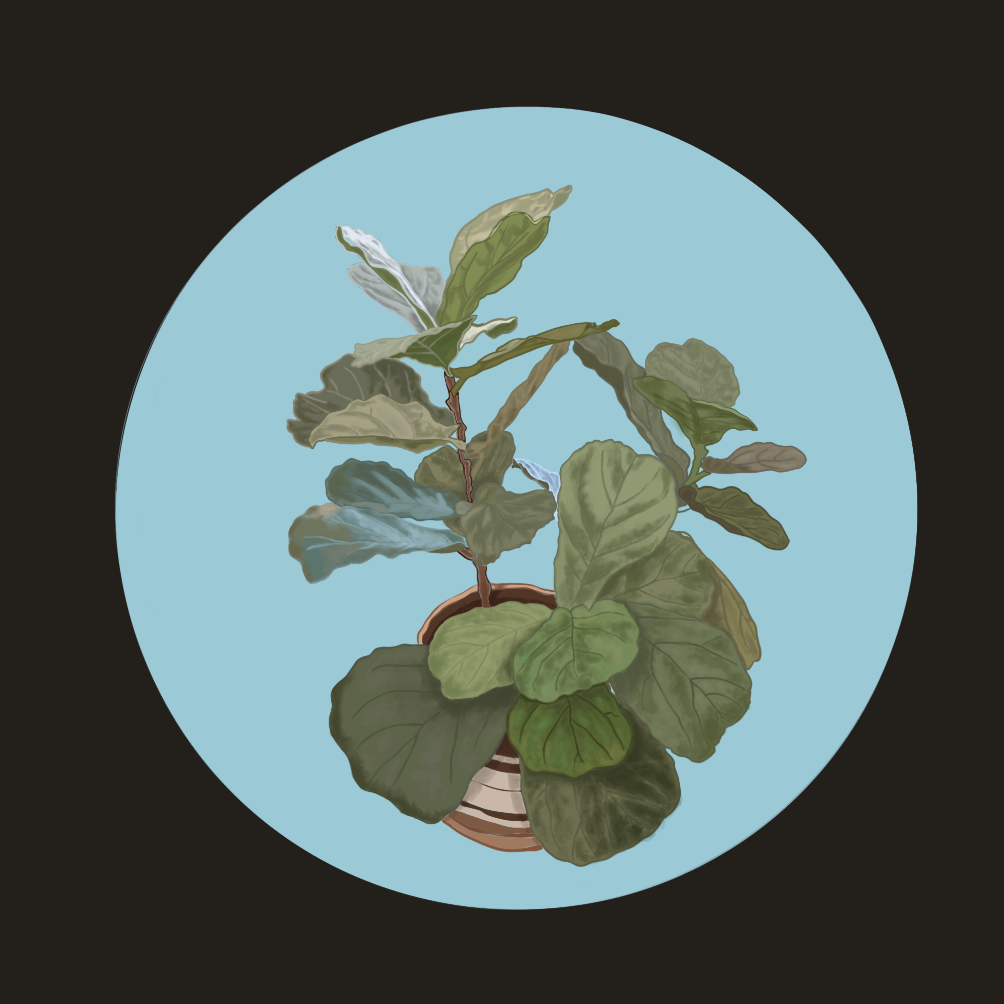 IMG_5213.png