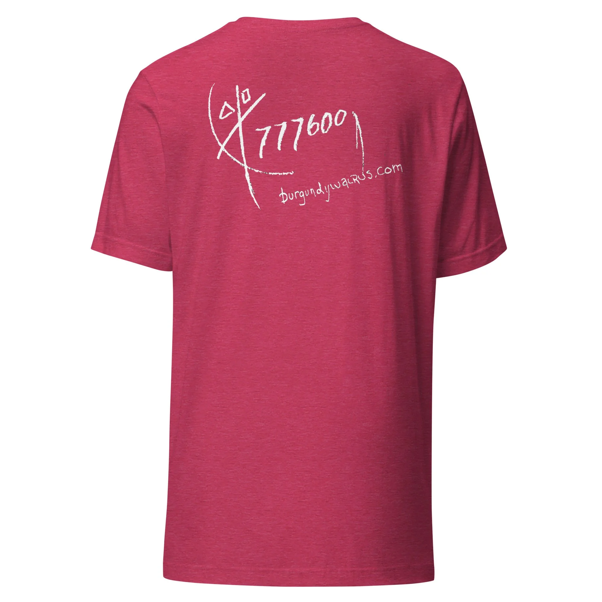 unisex-staple-t-shirt-heather-raspberry-back-666b557d1ccce.jpg