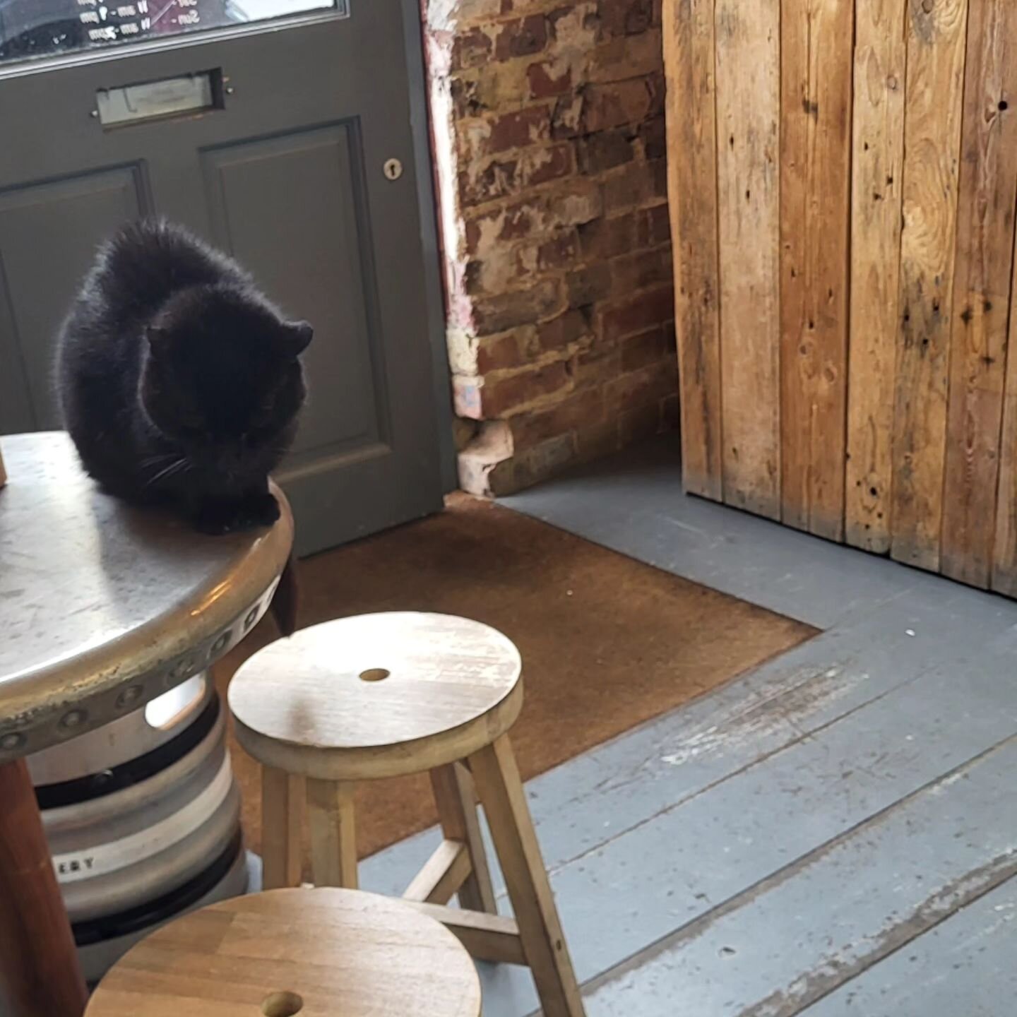 It was love, just not for @lordspudsw16.

#notbothered #dinnertonight #catsandbeer #artandcraft #purveyorsoflovelystuff #beertogo #craftbeer #goodbeer #streatham #theinkspotbrewery