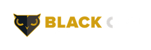 Black Owl Systems Logo