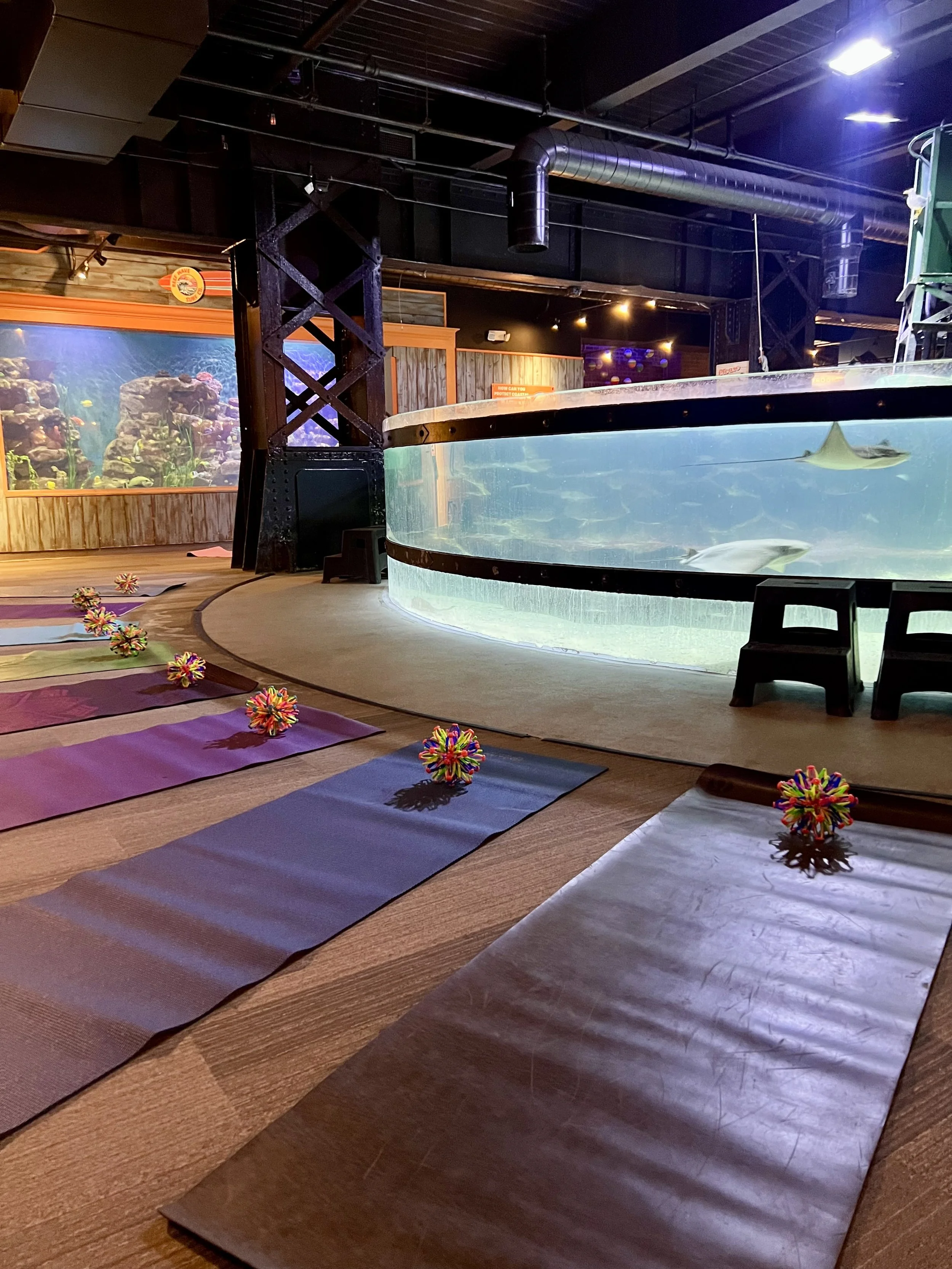 Stingray Yoga for Baby &amp; Me (ages 2m-2yrs)