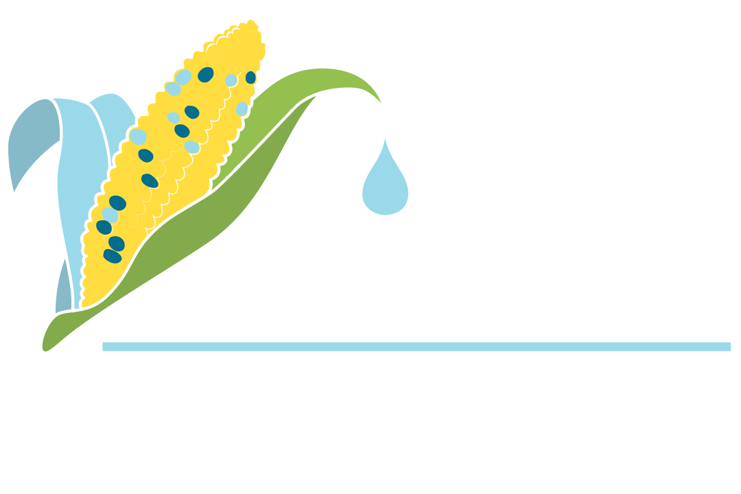 Proyecto Dulcepamba